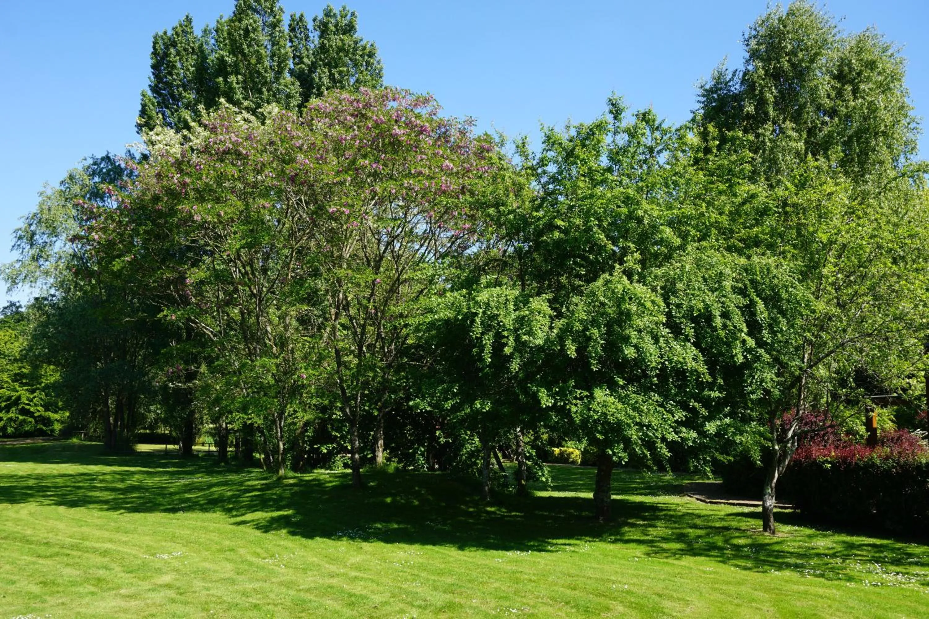 Garden in Domaine de L'Arbrelle