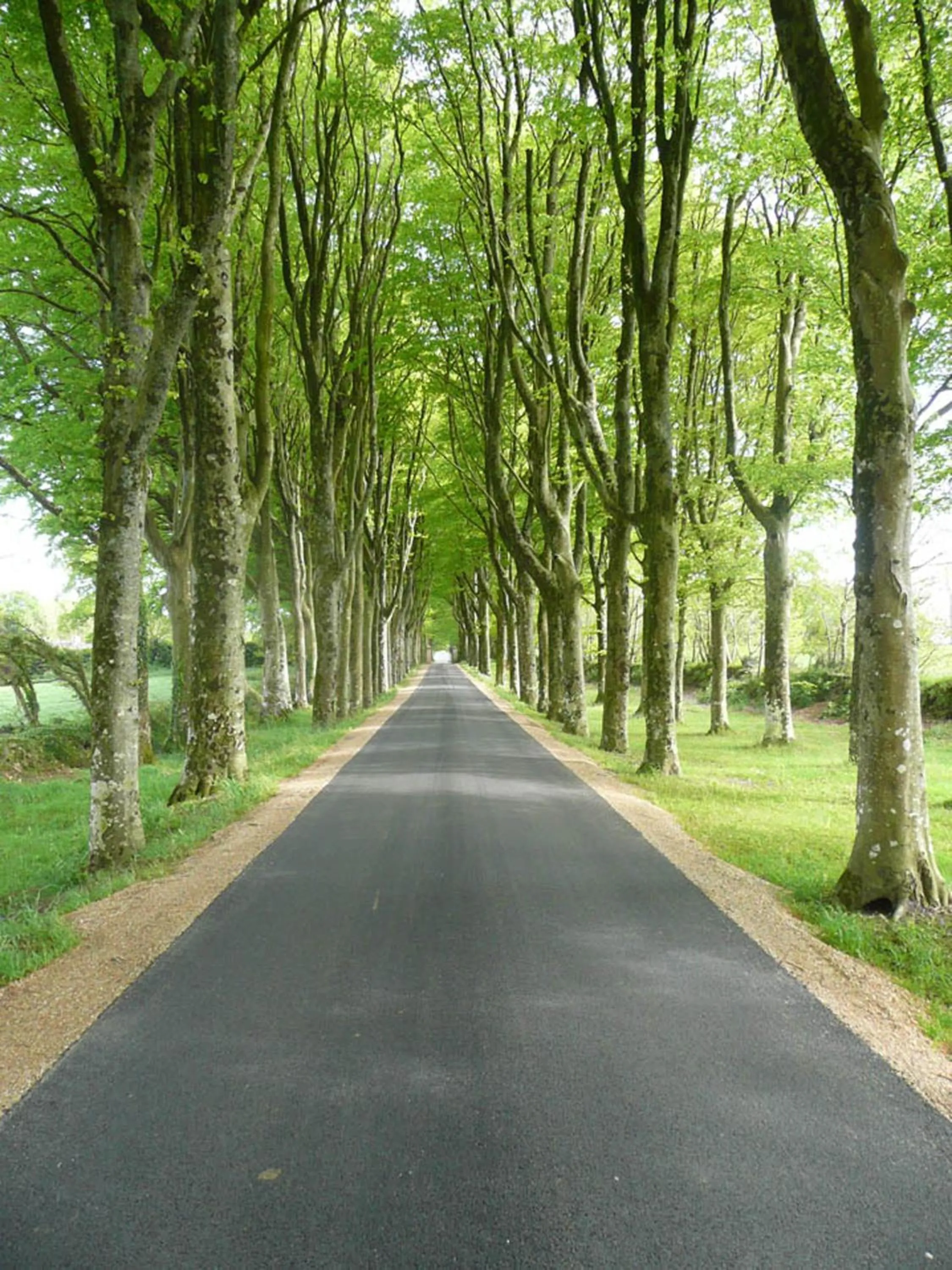 Facade/entrance in Manoir de Kerhuel de Quimper