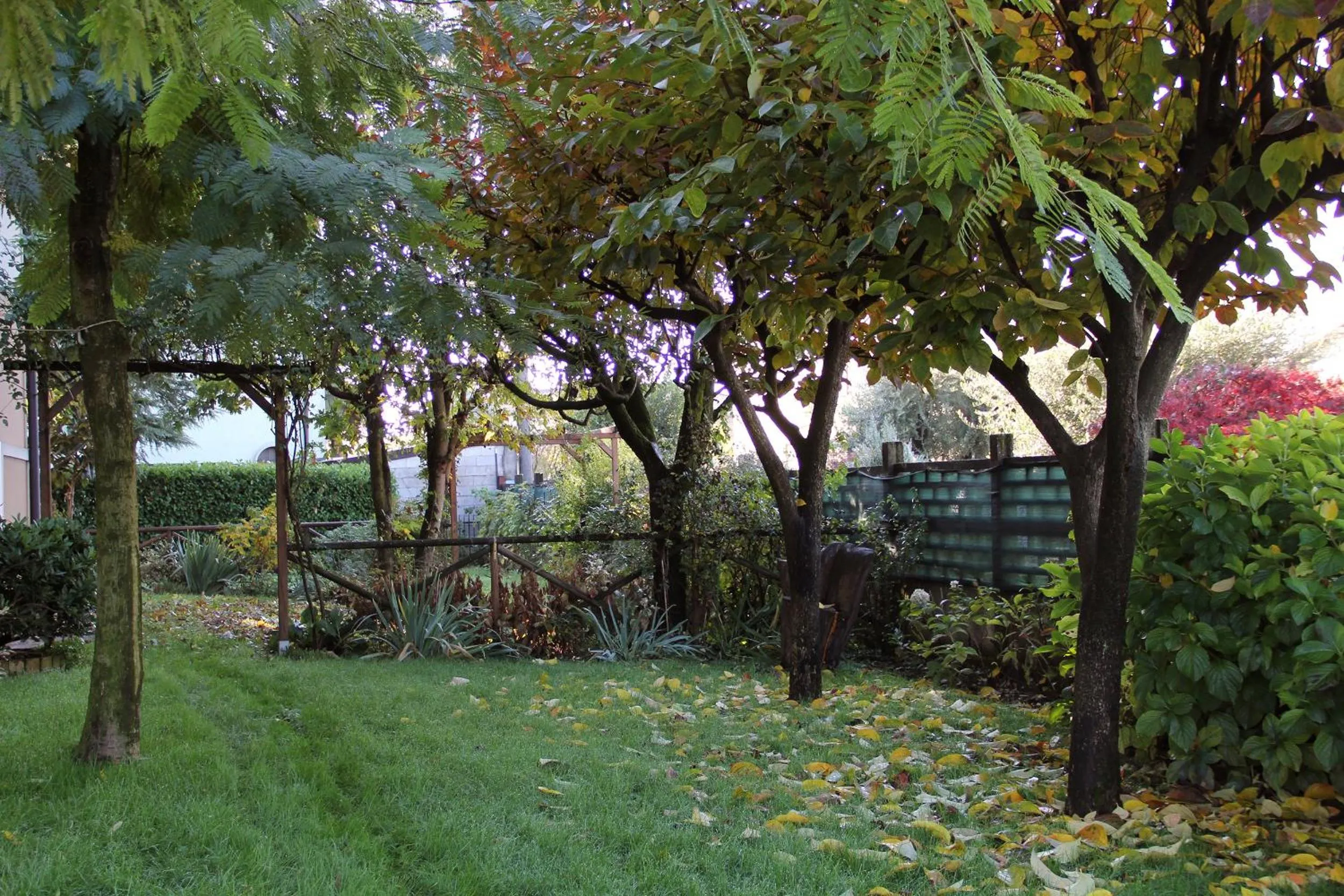 Garden in Il Giardino
