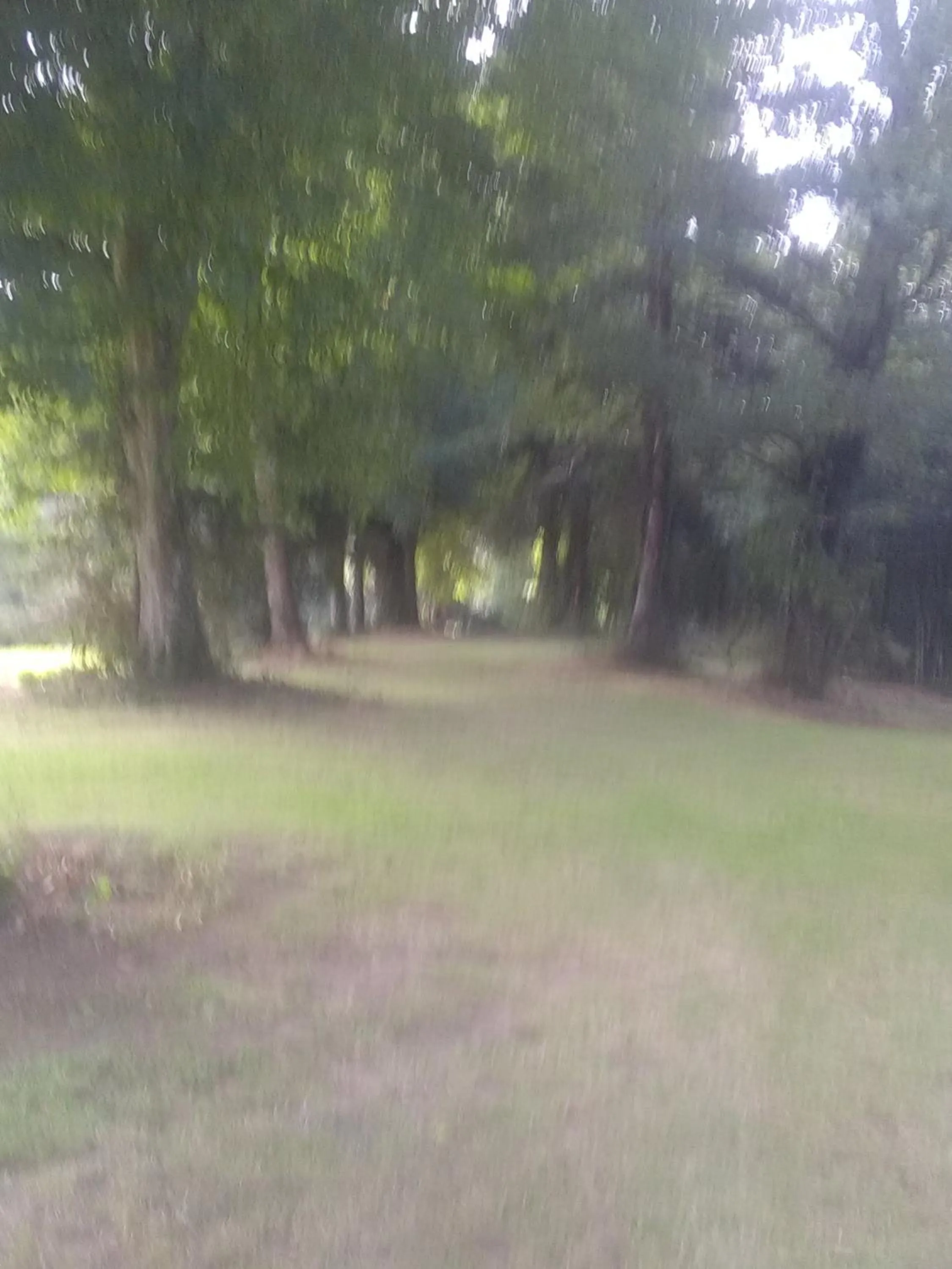 Garden view in Pierre Deluen Domaine de la Grange de Quaire