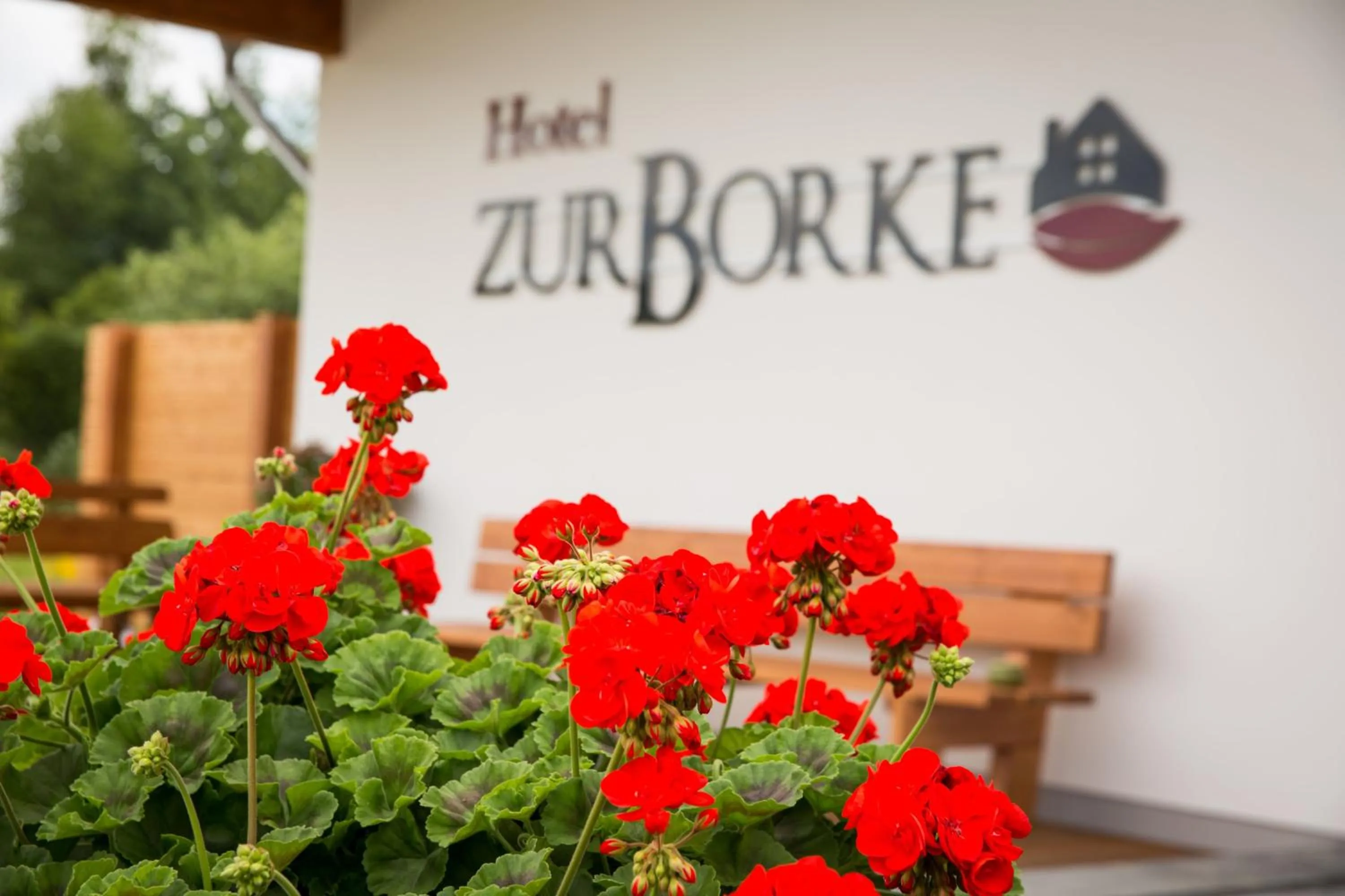 Property building in Hotel Zur-Borke