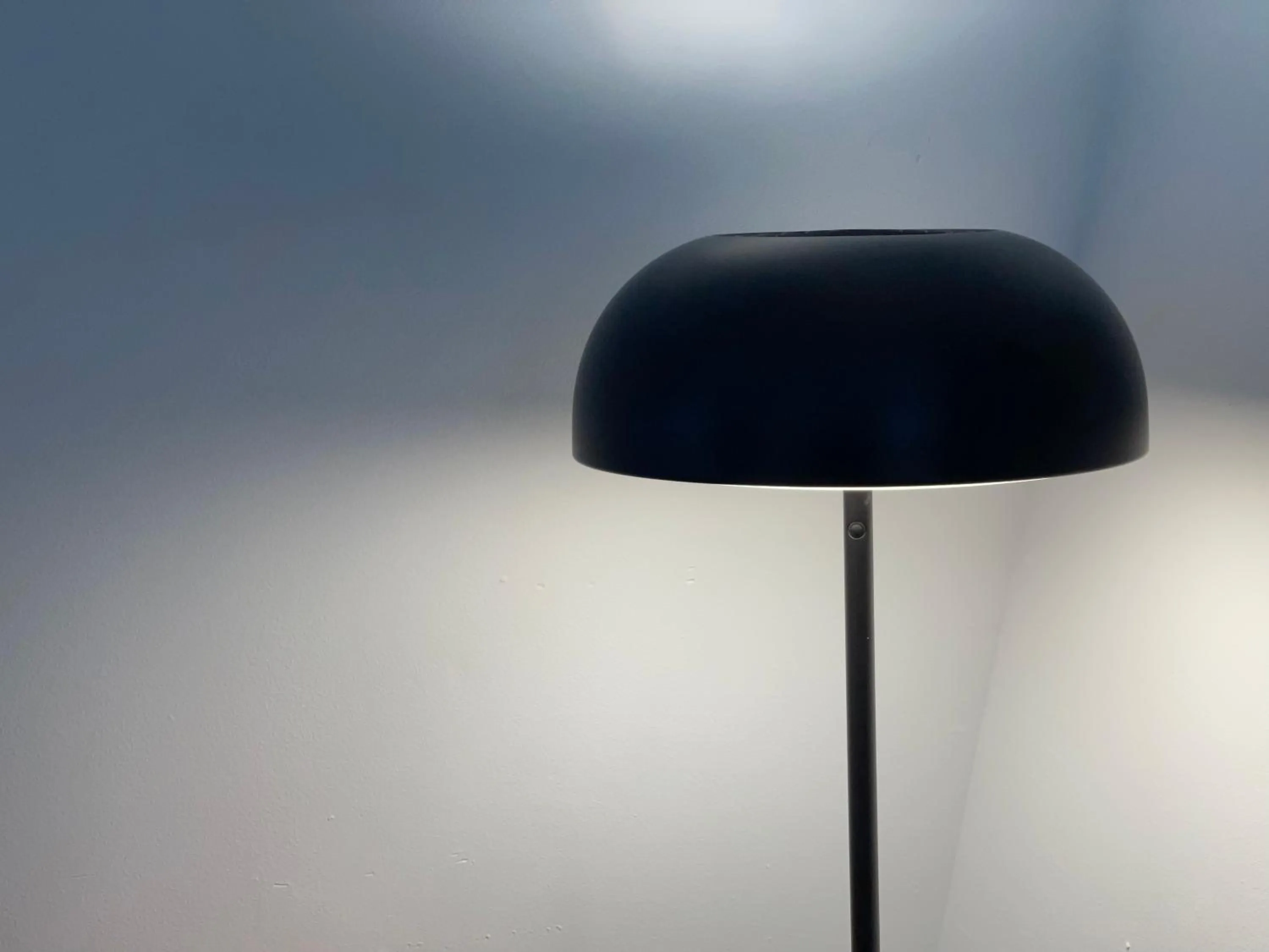 The Loft at Charlotte's Rose