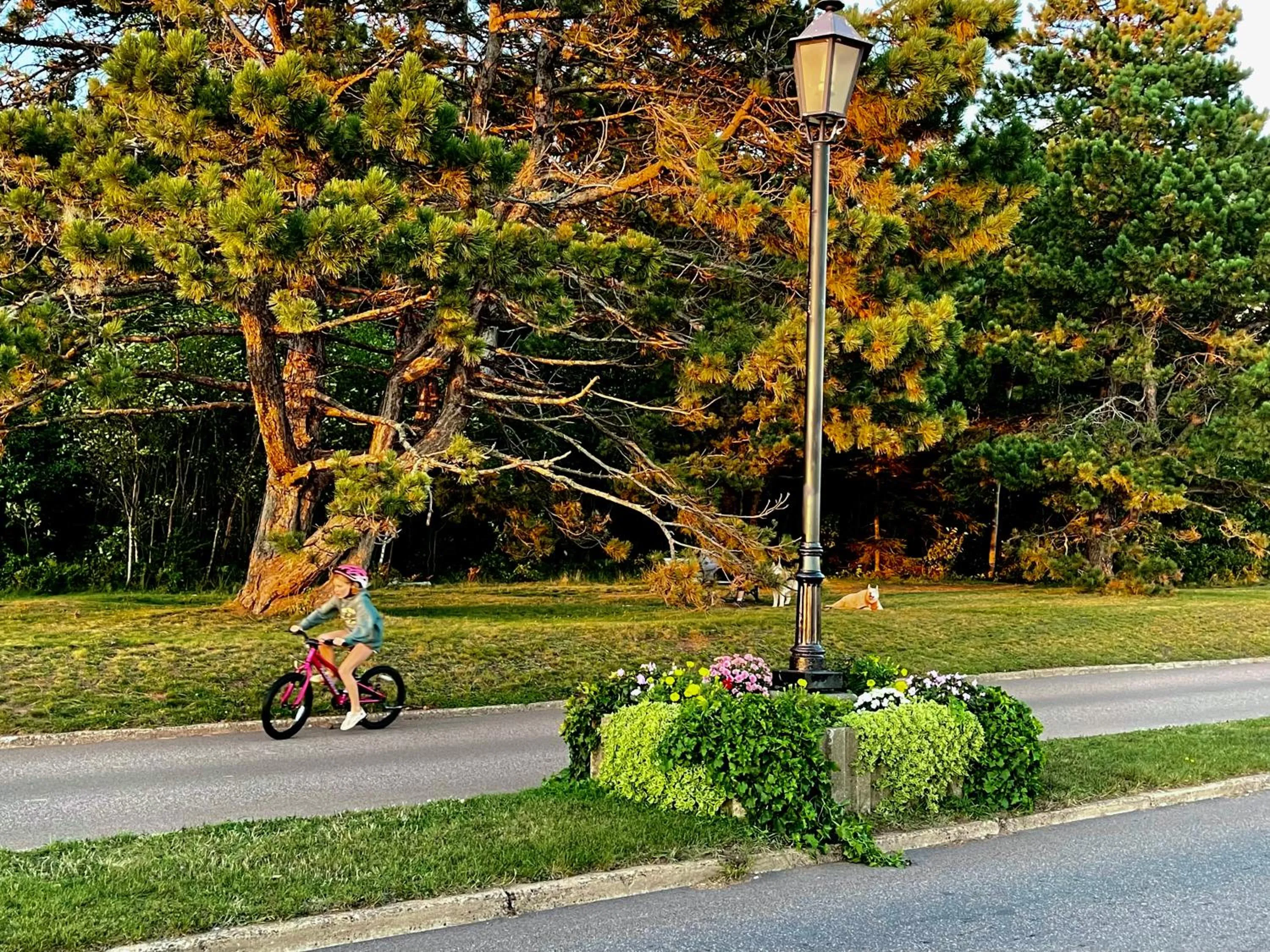 The Loft at Charlotte's Rose