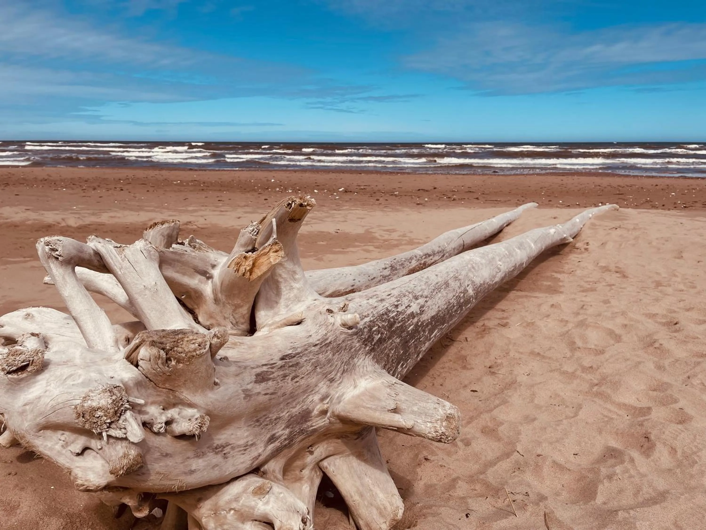 The Loft at Charlotte's Rose