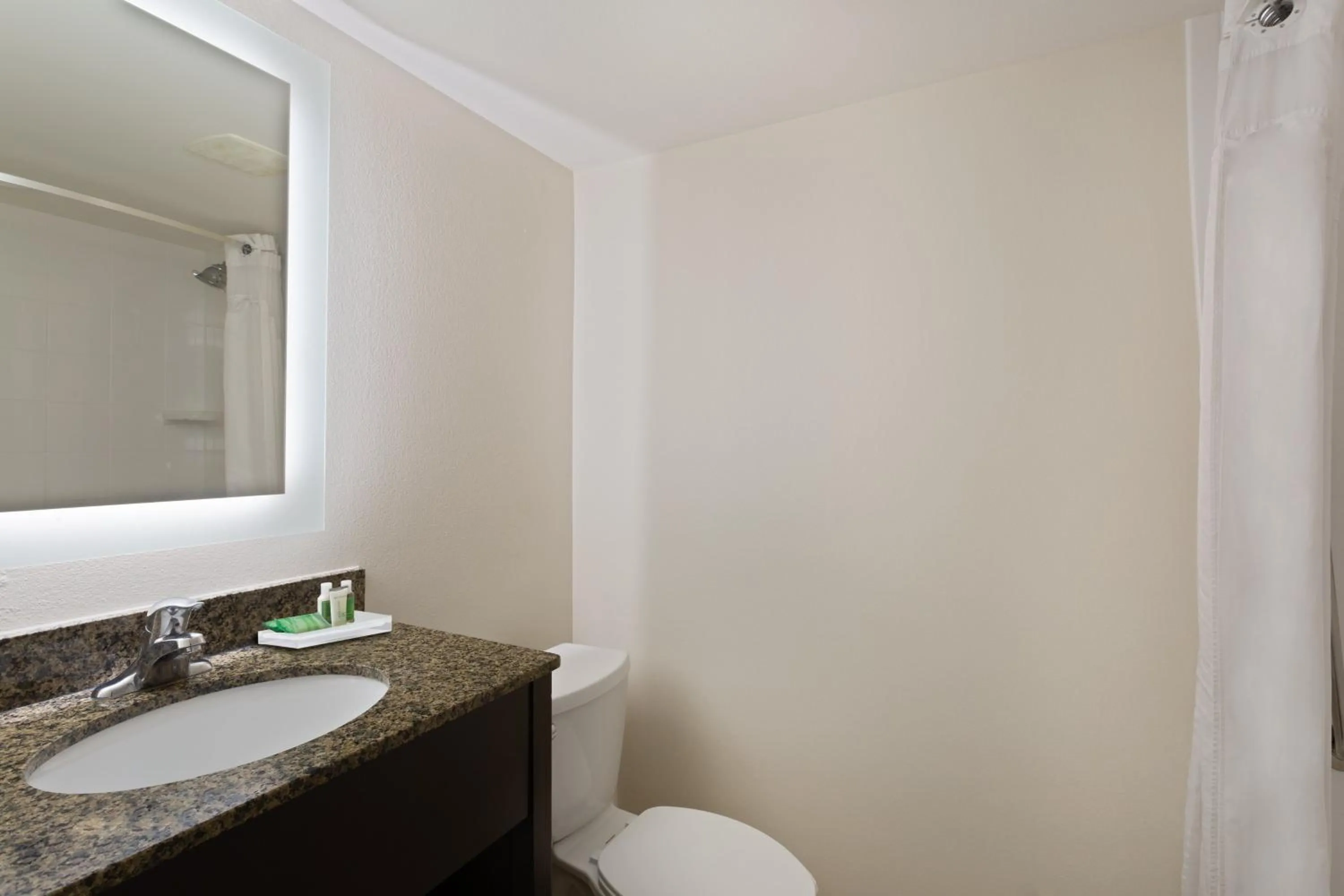 Bathroom in Holiday Inn & Suites Across from Universal Orlando by IHG