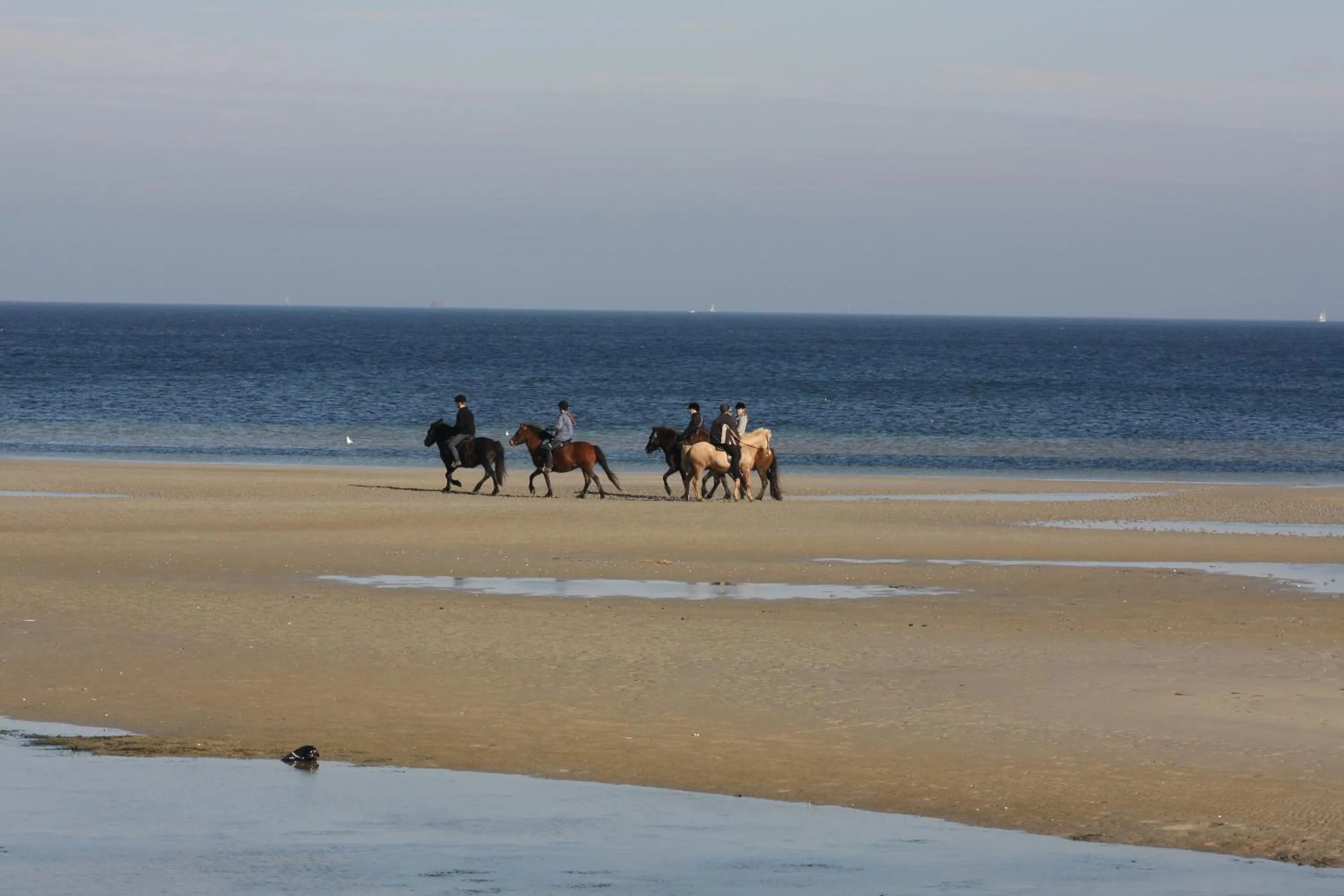 Area and facilities in Hotelanlage Tarnewitzer Hof