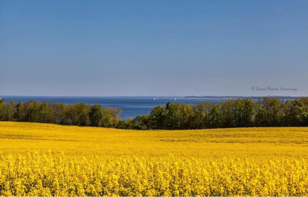 Area and facilities in Hotelanlage Tarnewitzer Hof