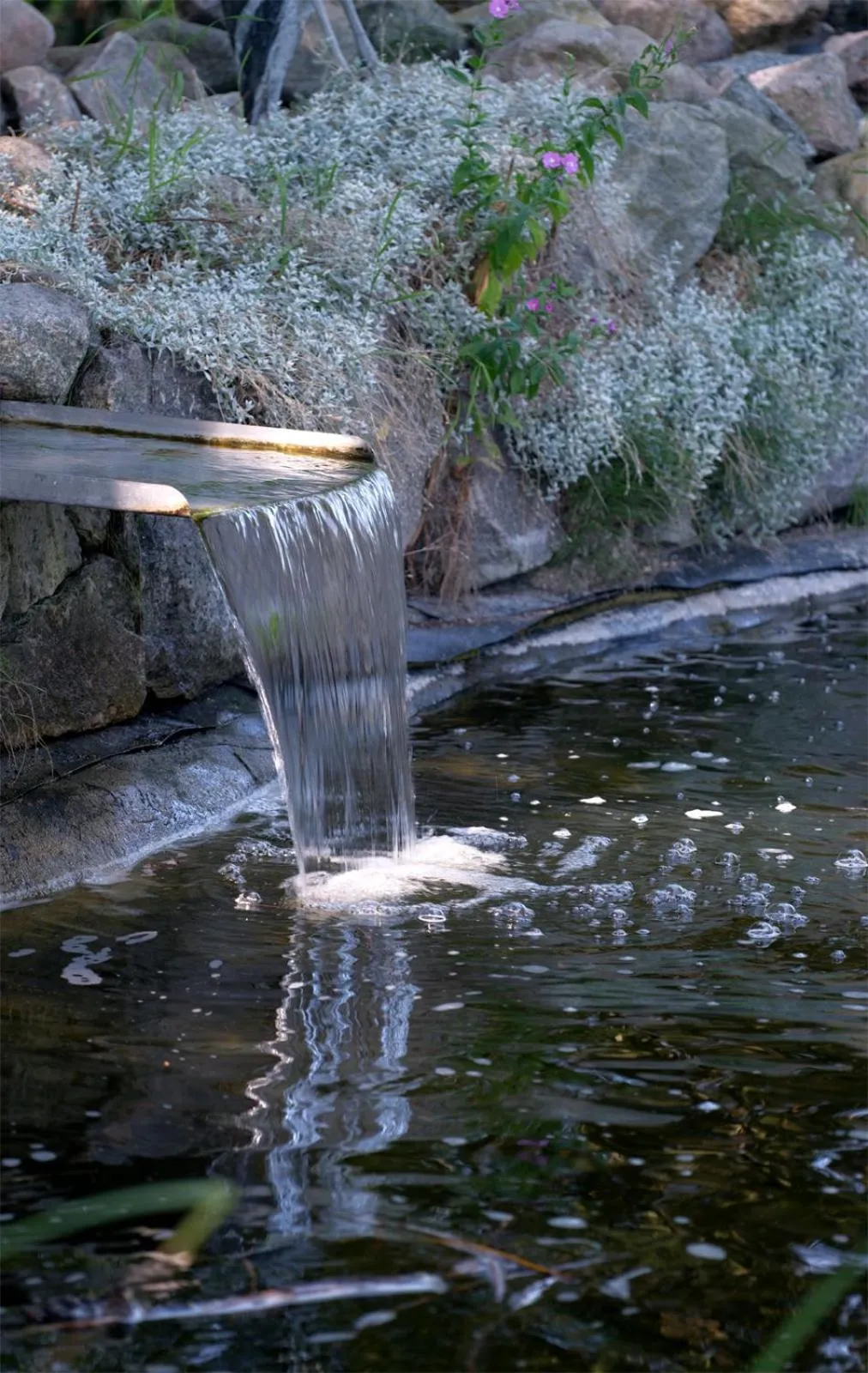 Natural landscape in Hotelanlage Tarnewitzer Hof