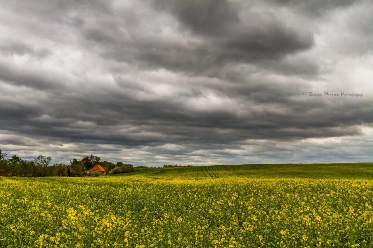 Area and facilities in Hotelanlage Tarnewitzer Hof