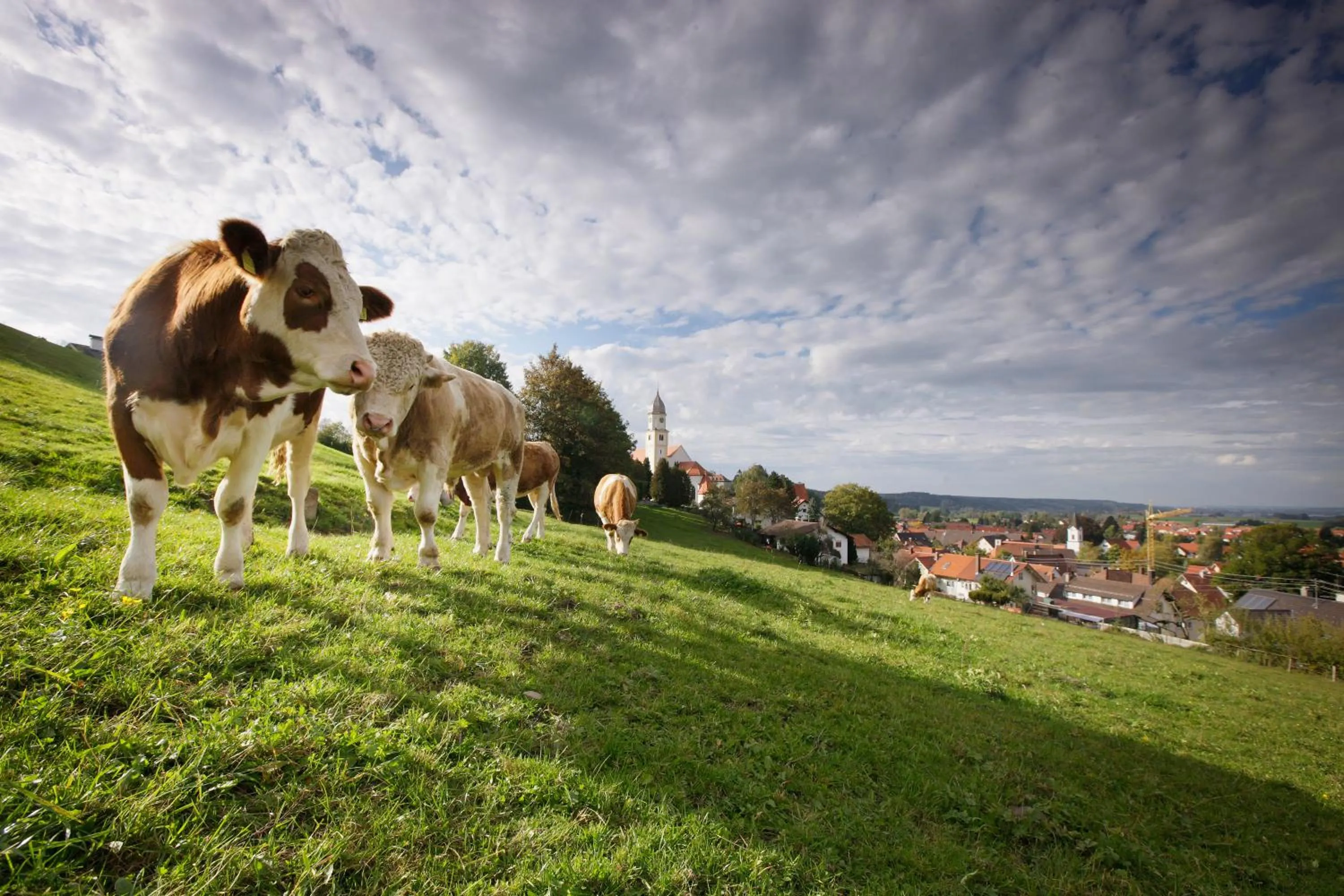 Other in allgäu resort