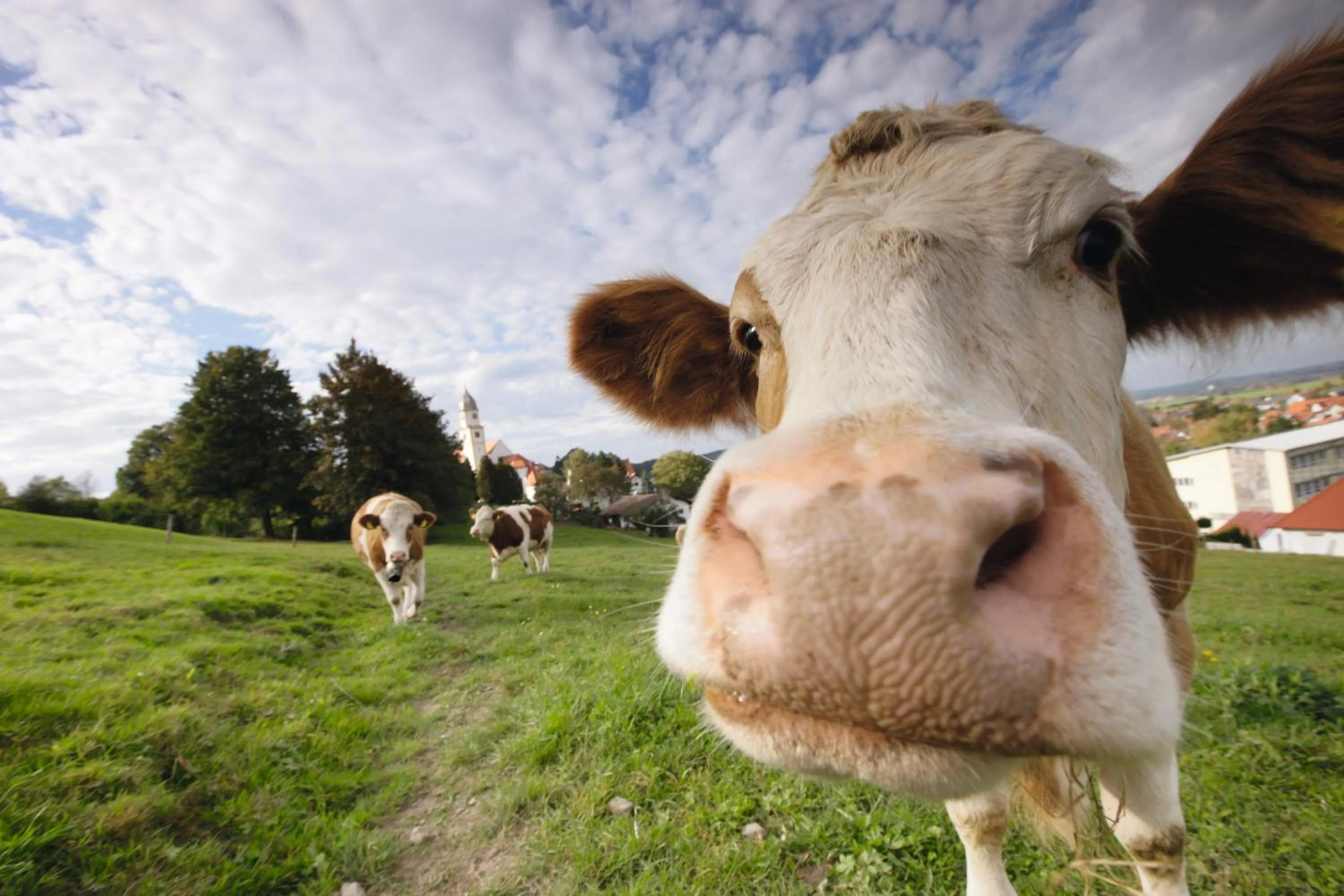 Other in allgäu resort
