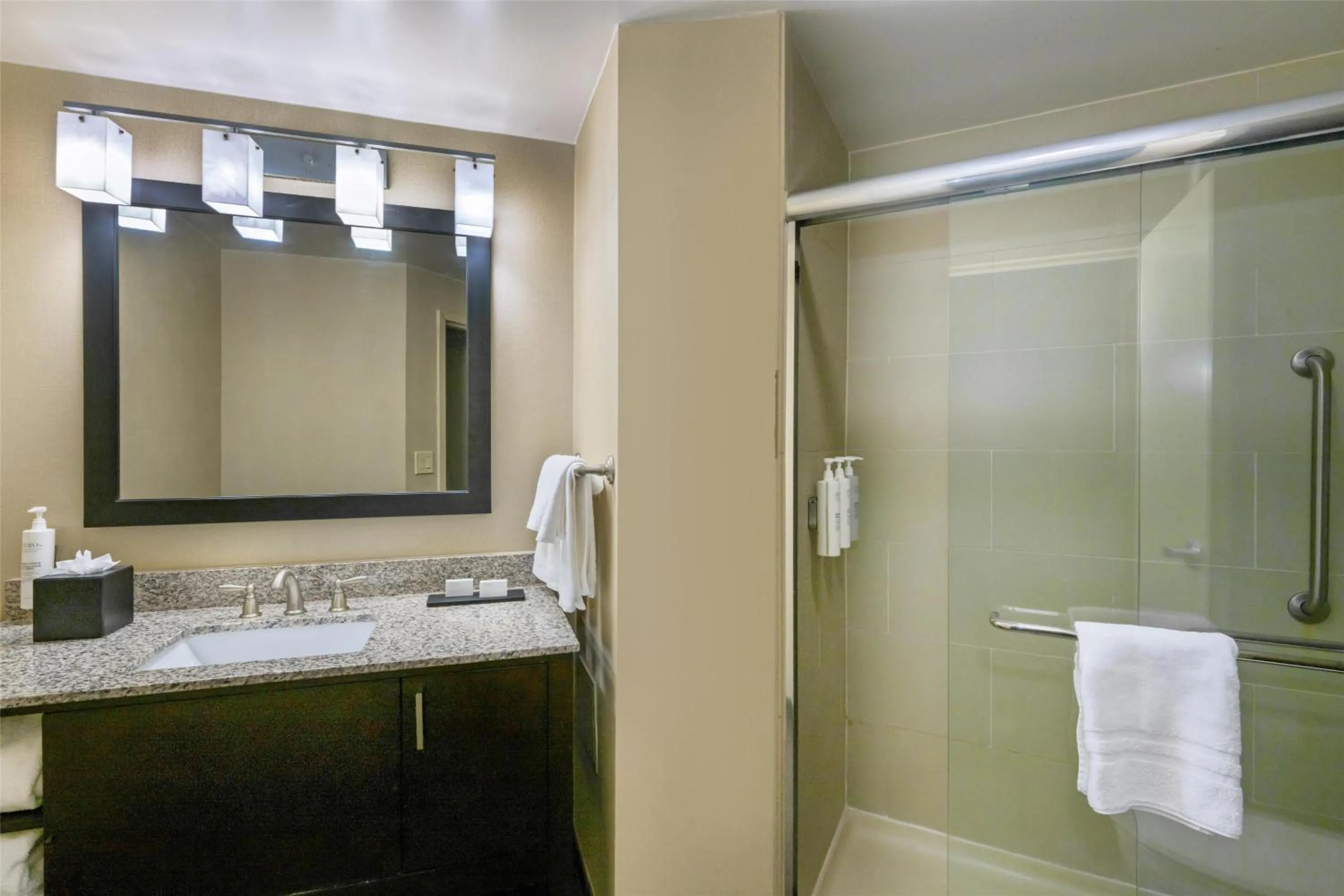 Bathroom in Embassy Suites by Hilton St Louis Airport