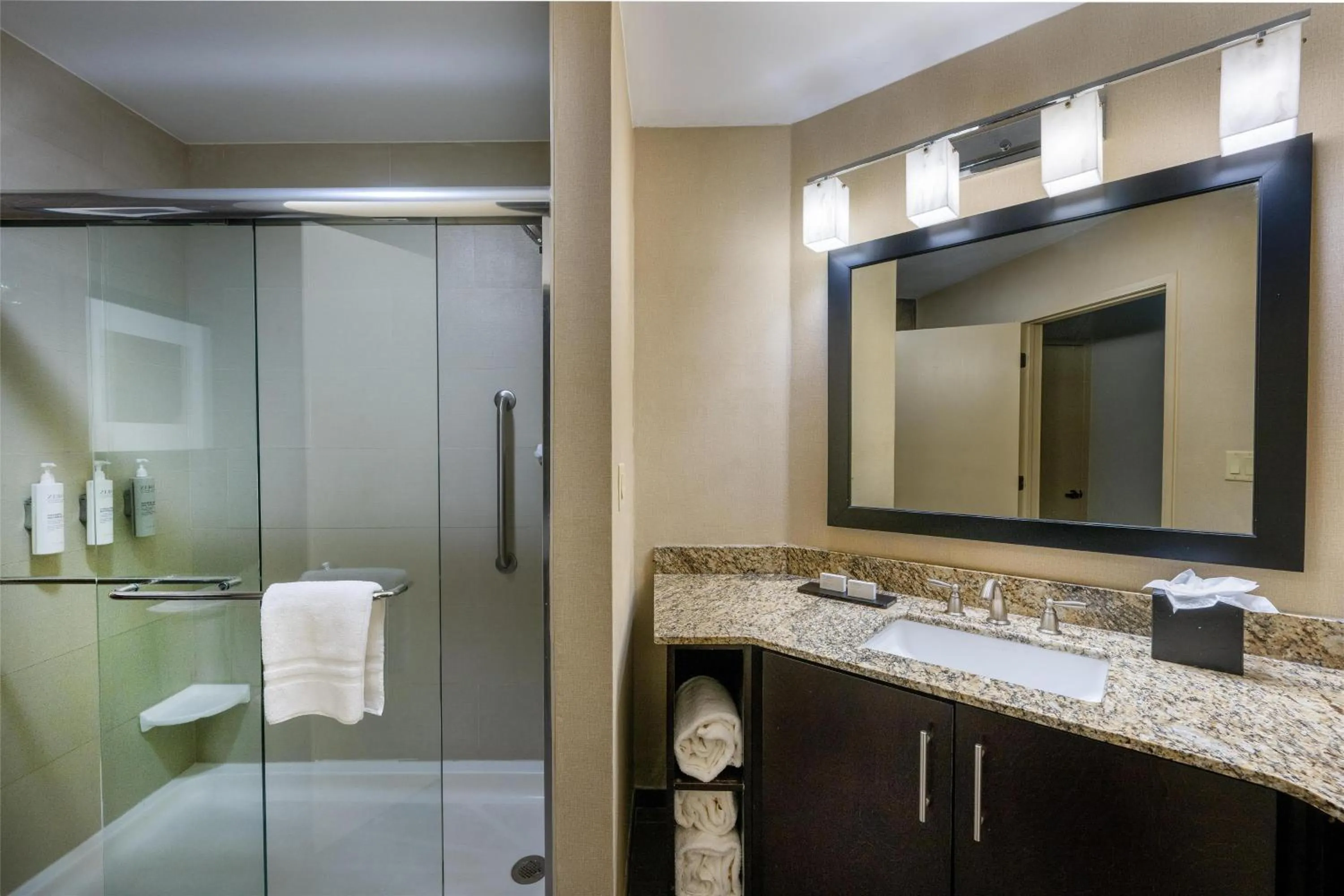 Bathroom in Embassy Suites by Hilton St Louis Airport