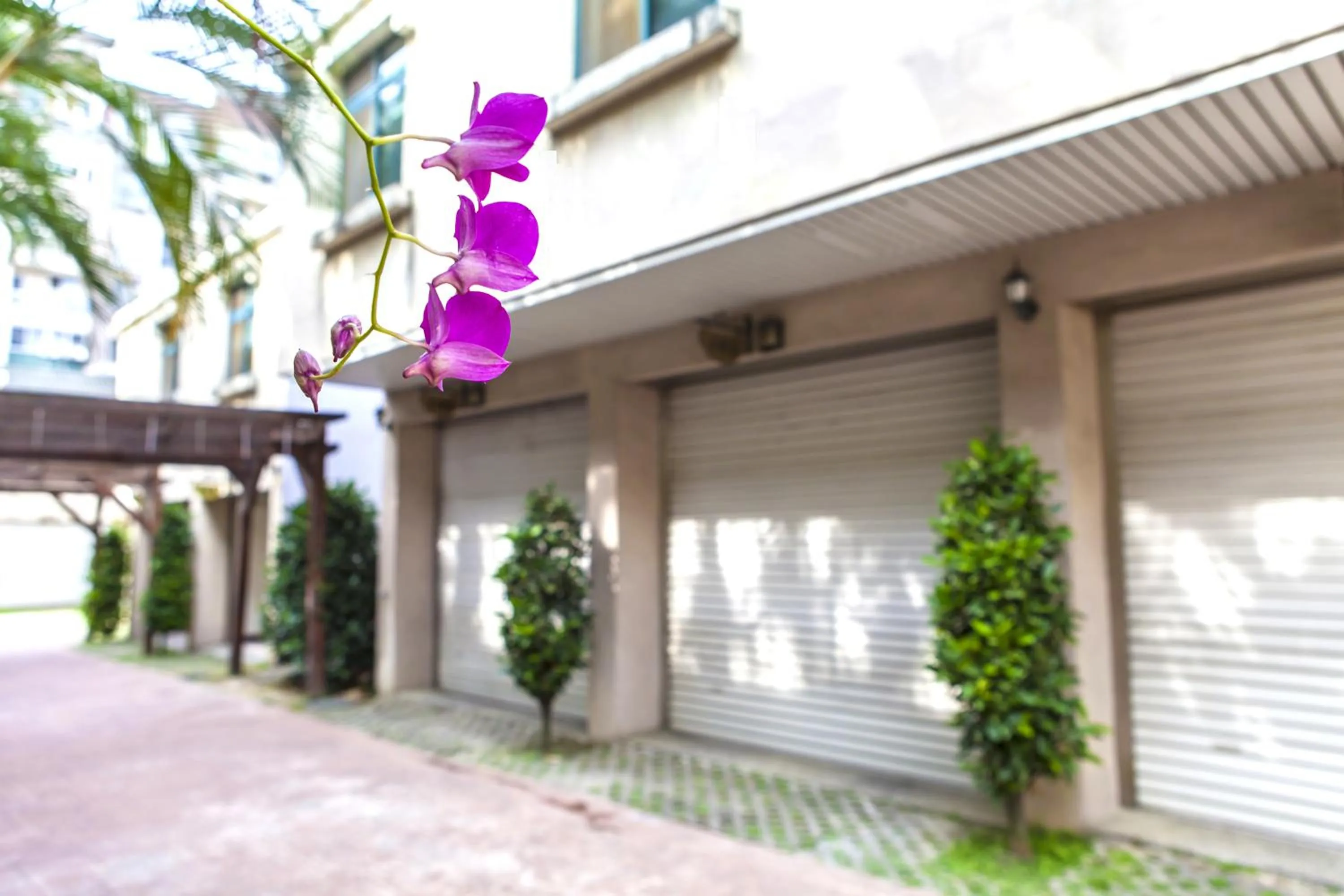 Property building in 楓采行館