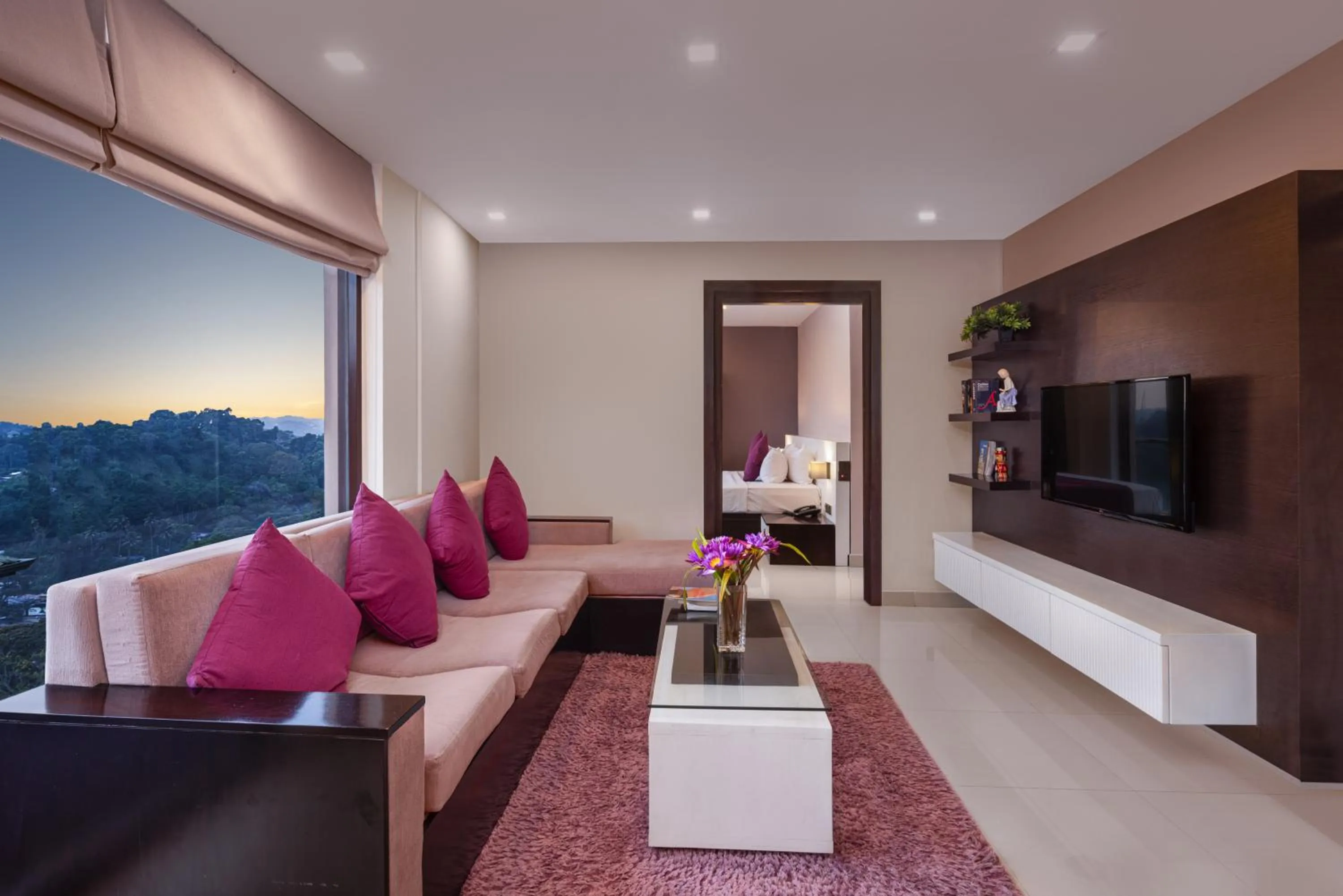 TV and multimedia in View360