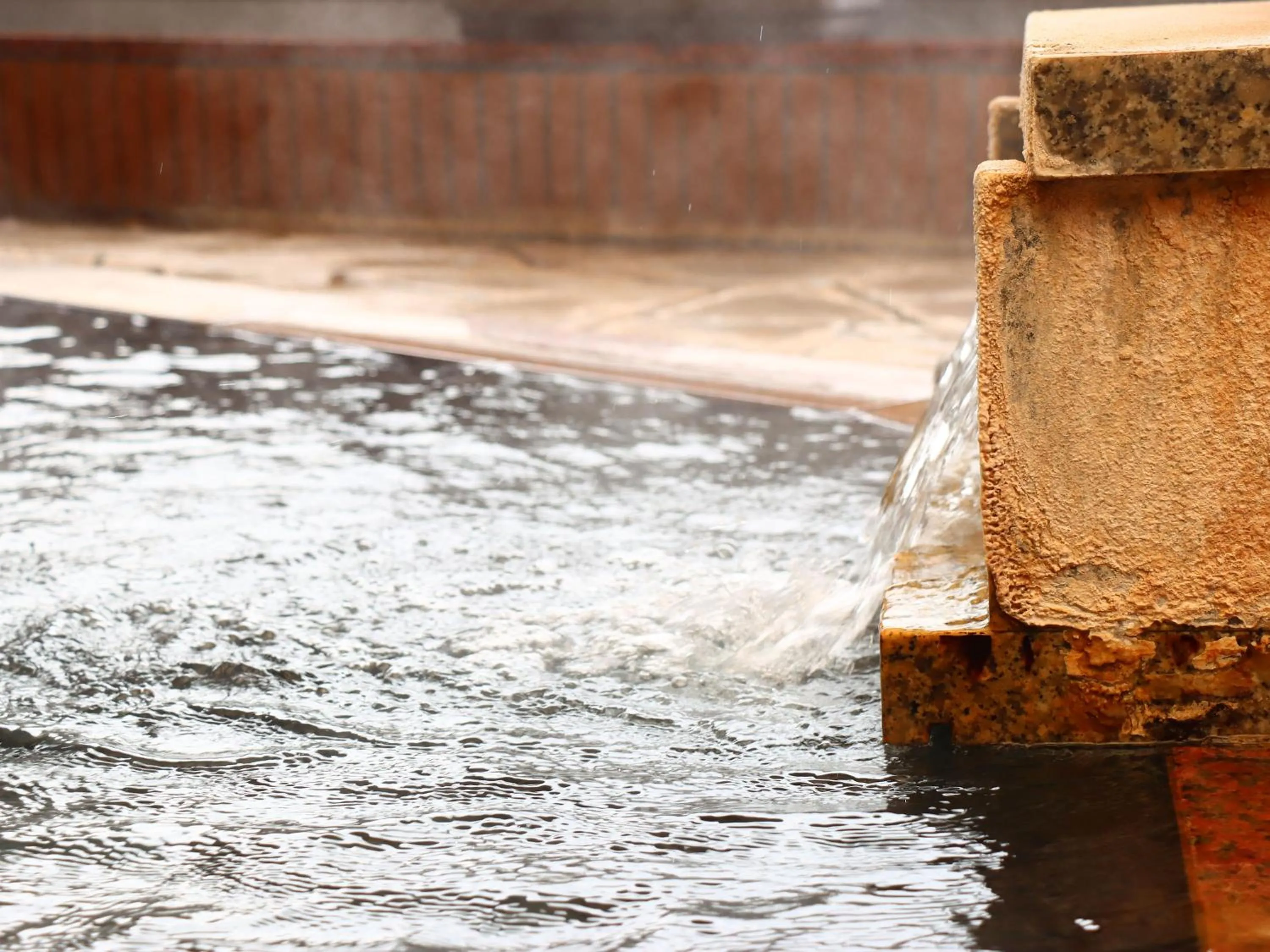 Hot Spring Bath in Hotel Omodaka
