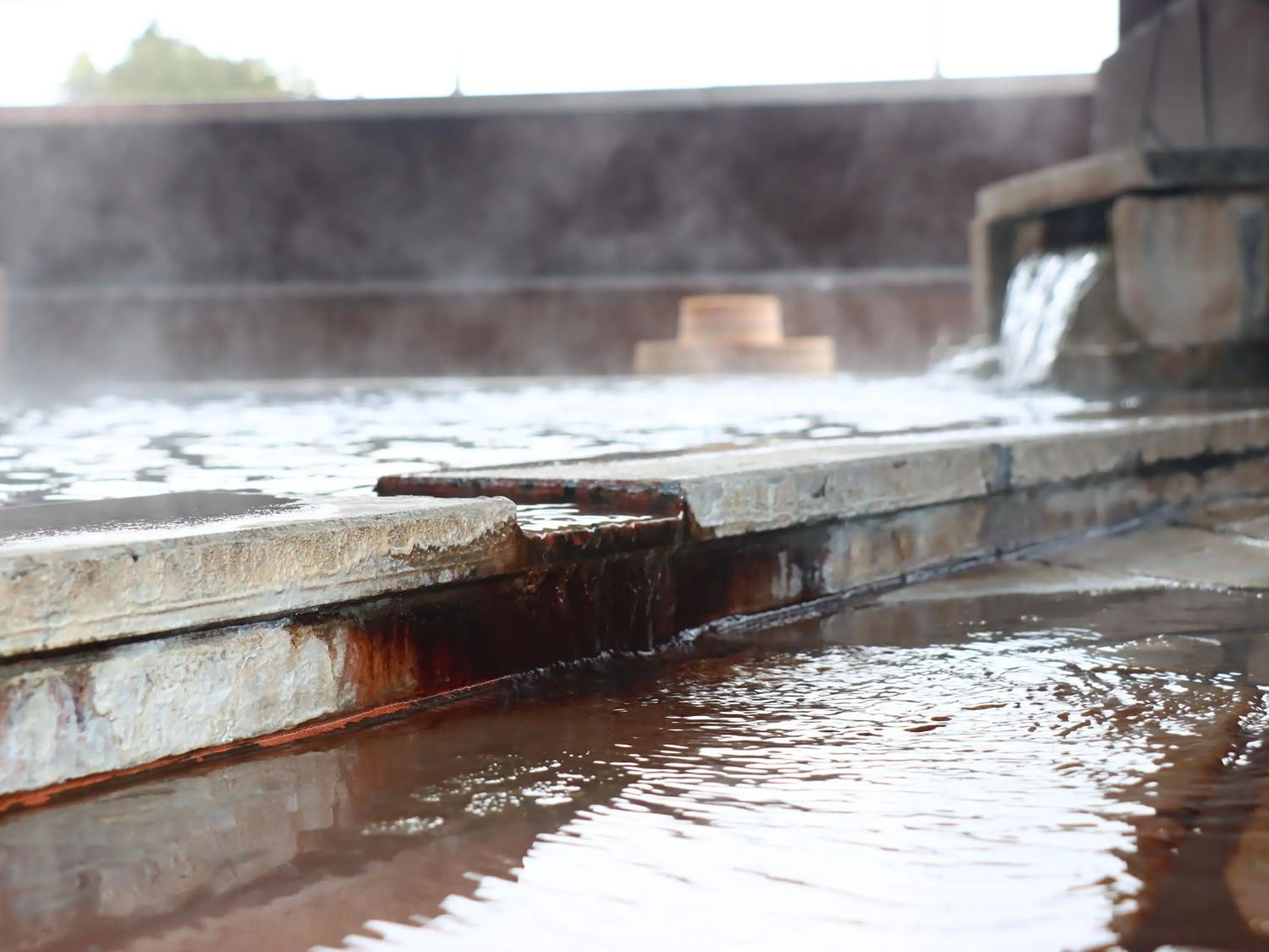 Hot Spring Bath in Hotel Omodaka