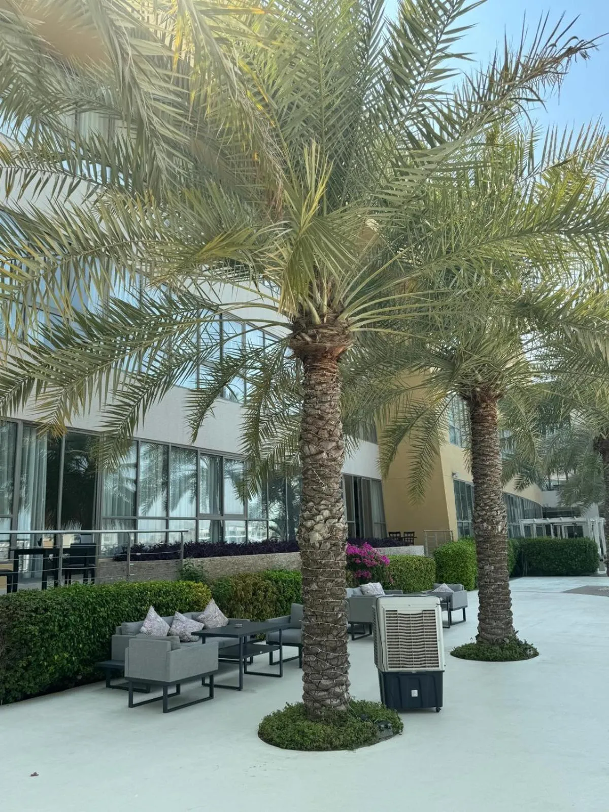 Garden view in Dragon Beach Hotel