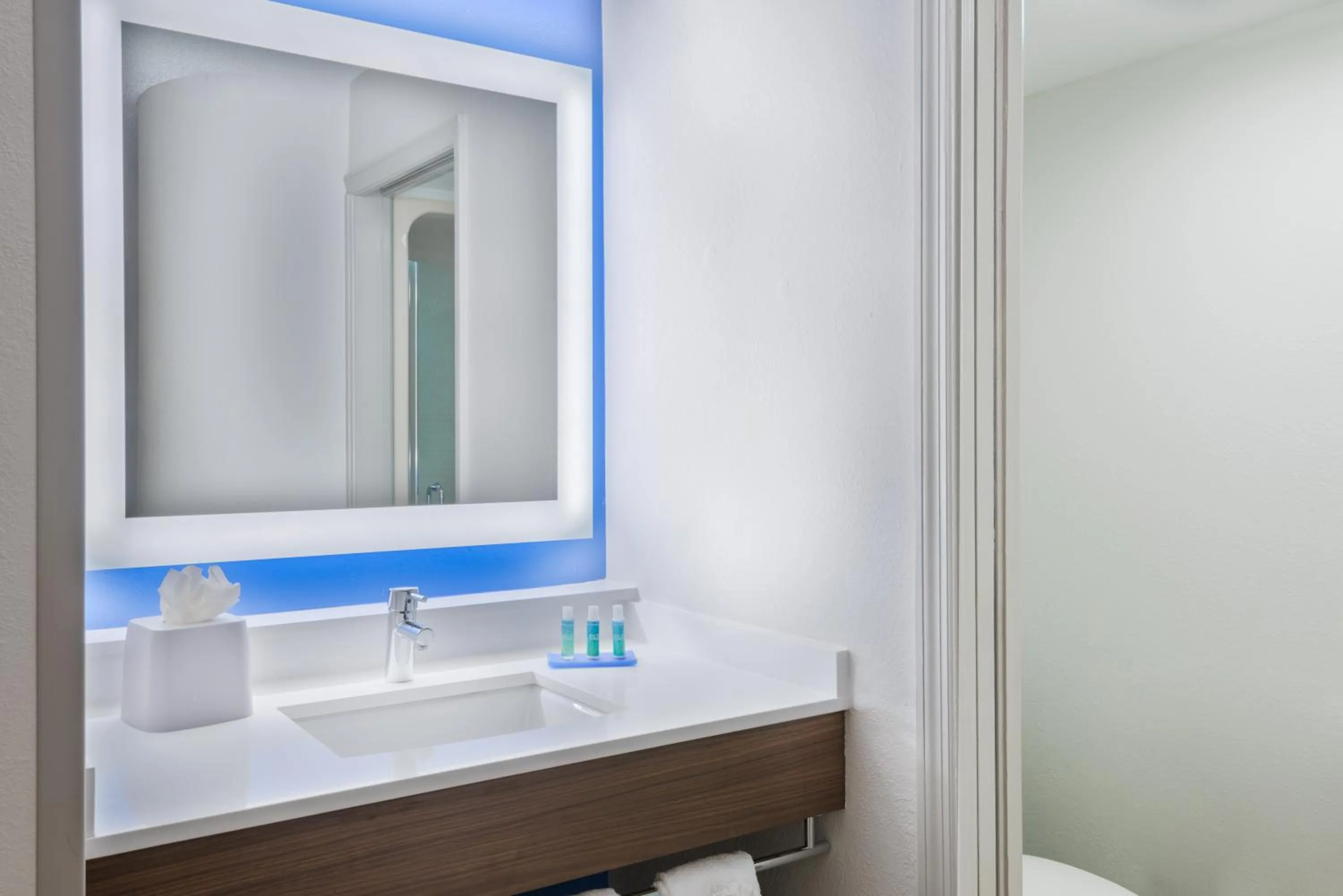 Bathroom in Holiday Inn Express & Suites - Nearest Universal Orlando by IHG