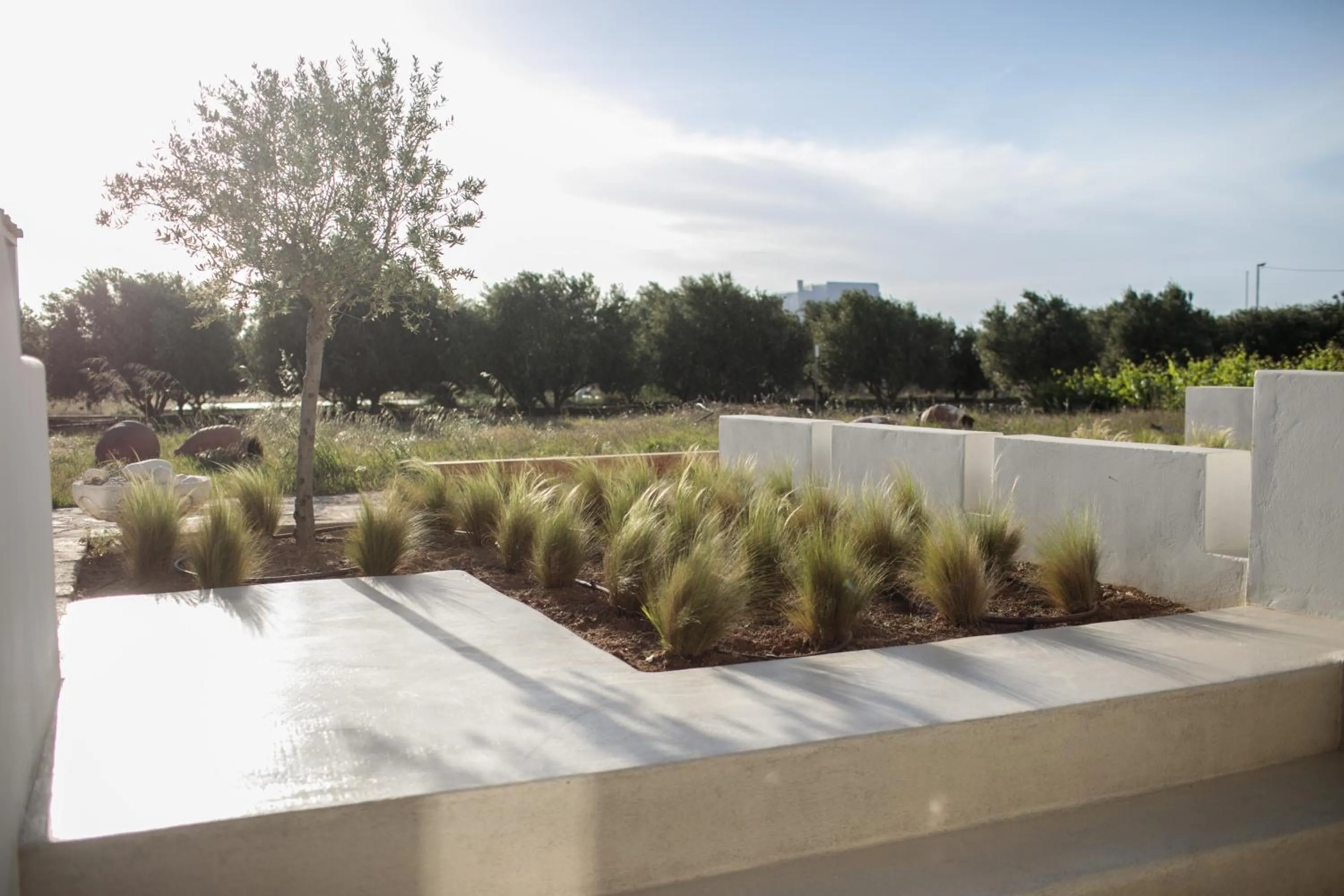 Garden view in Iphimedeia Luxury Hotel & Suites