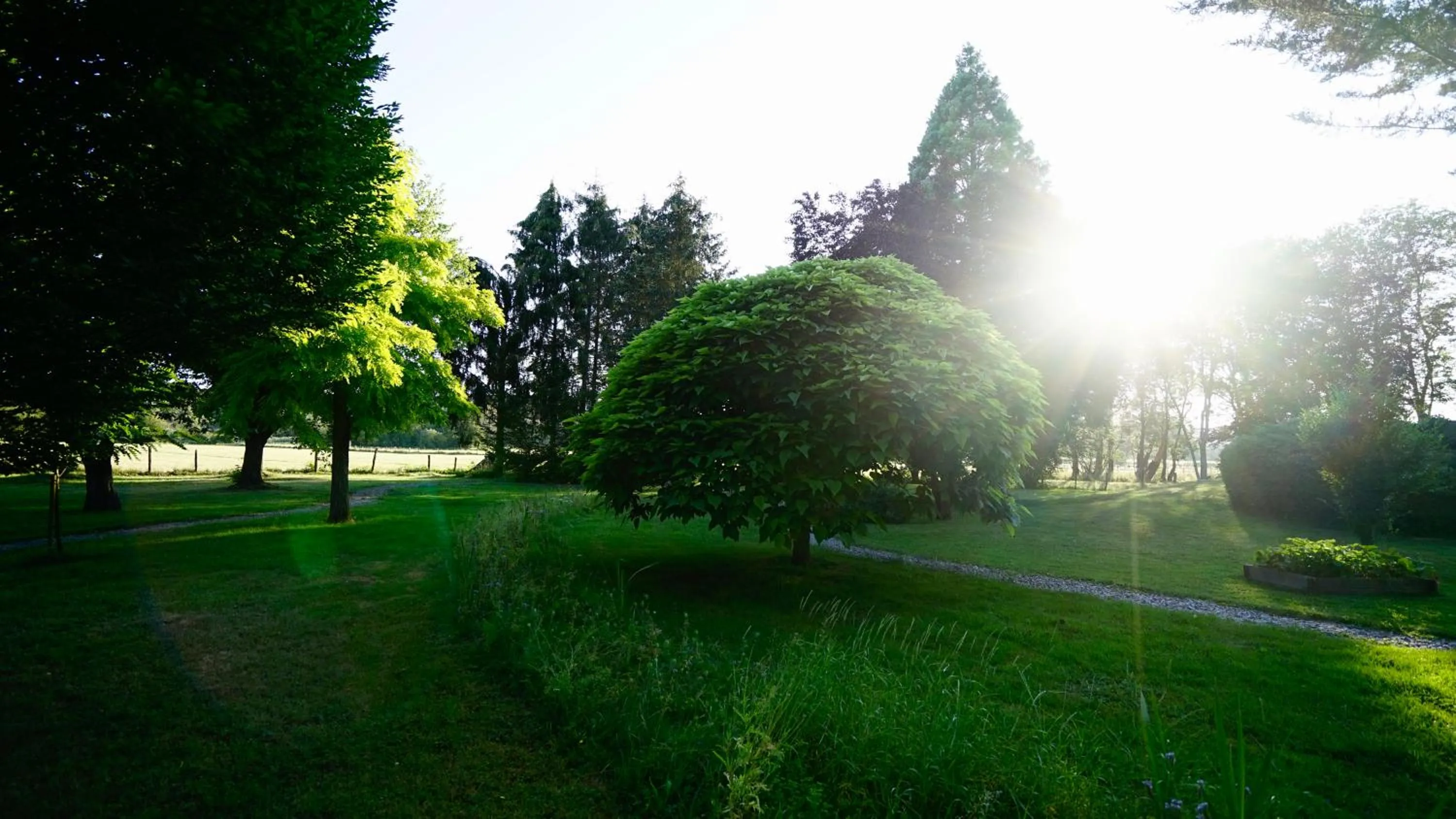 Logis Hôtel Relais de Vincey
