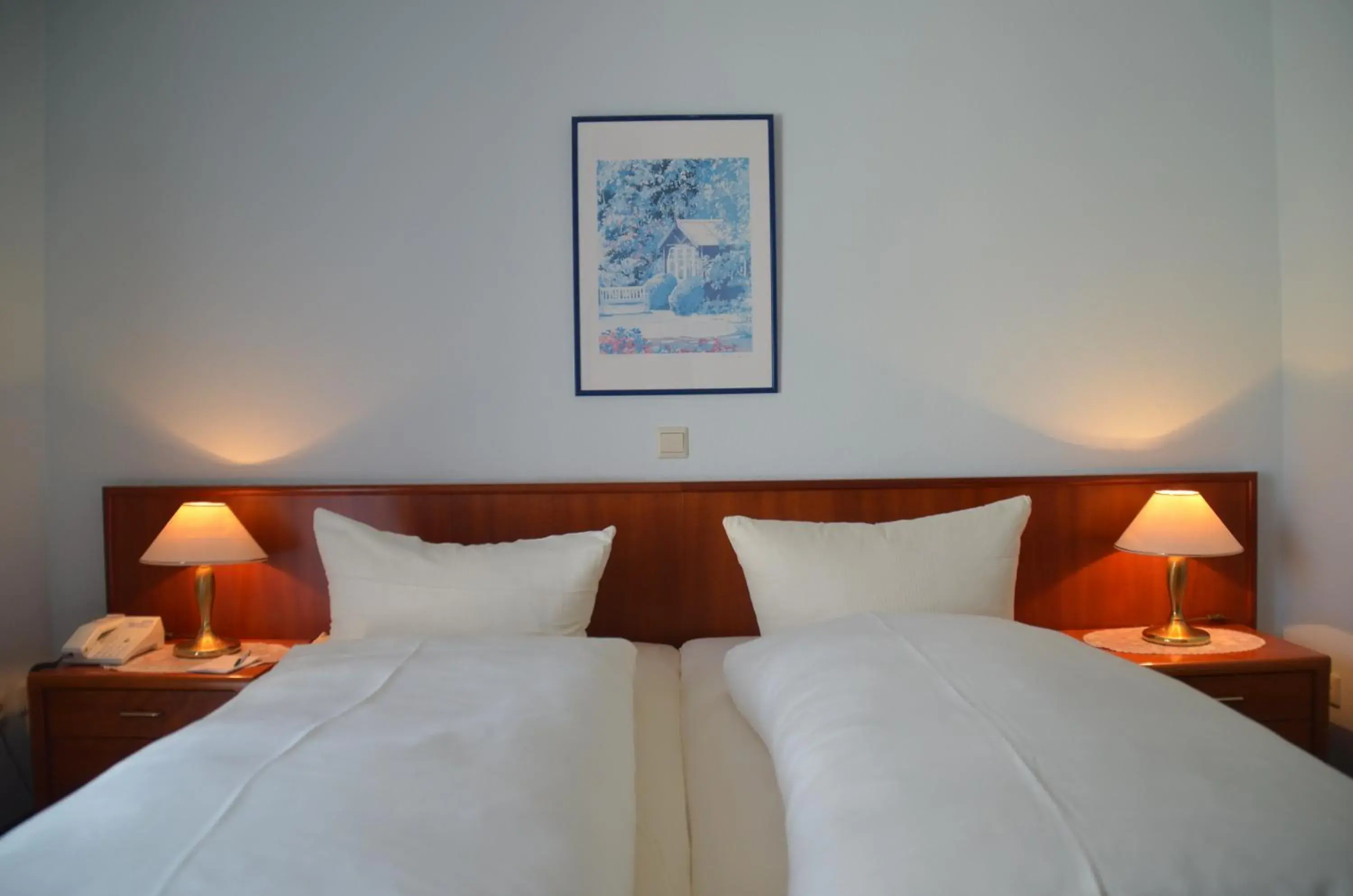 Double Room - single occupancy in Hotel Flora Double Room - single occupancy in Hotel Flora