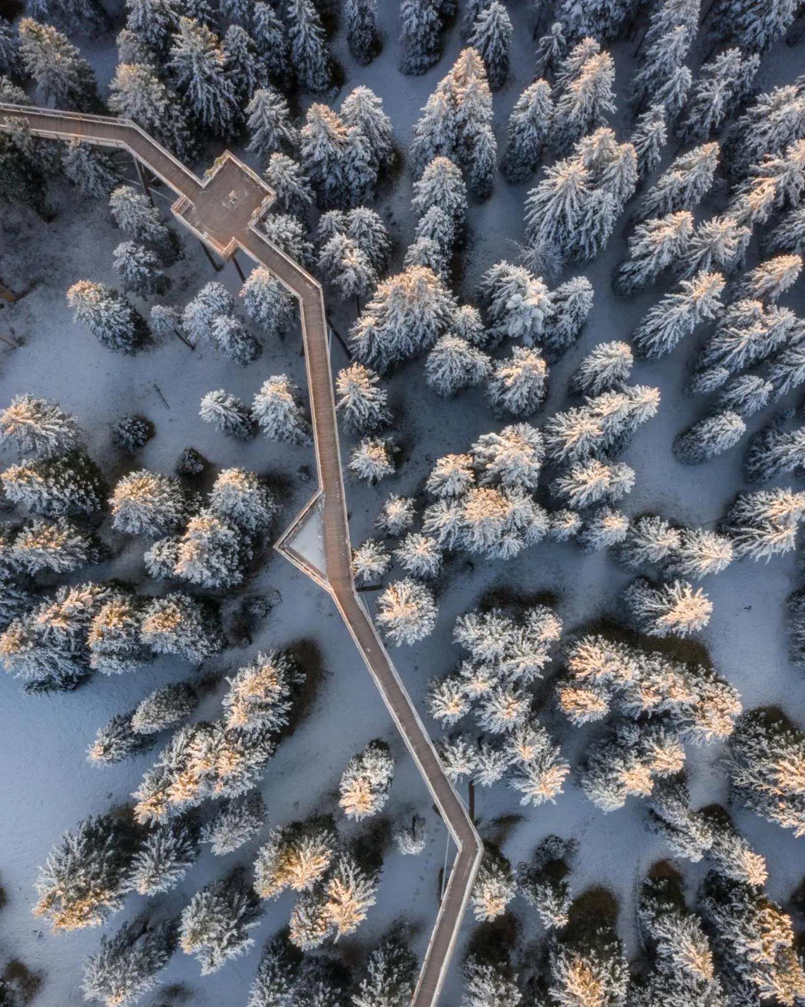 Day in Depandansa Brinje