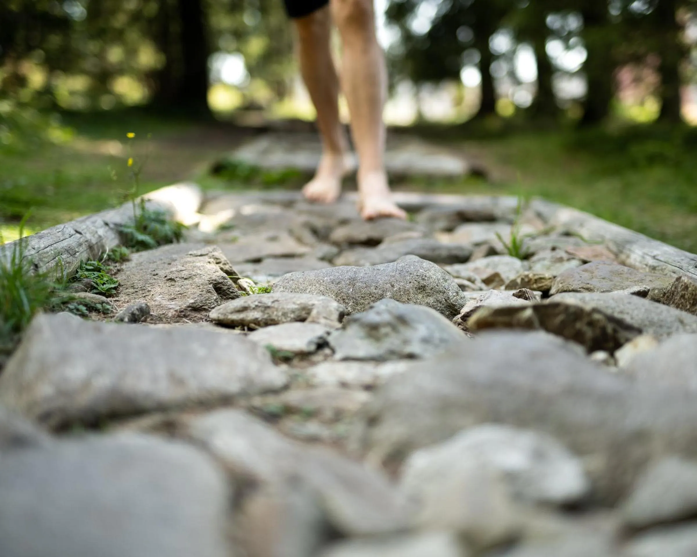 Activities in Depandansa Brinje