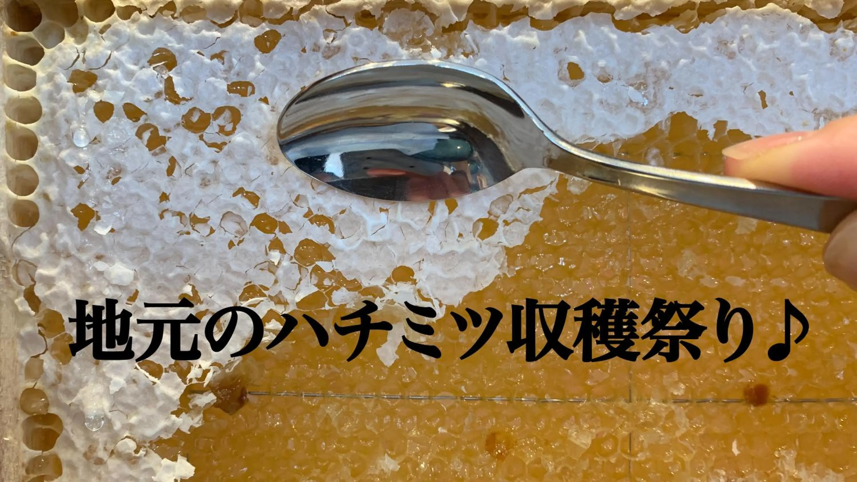 Restaurant/places to eat in Hotel Annex Inn