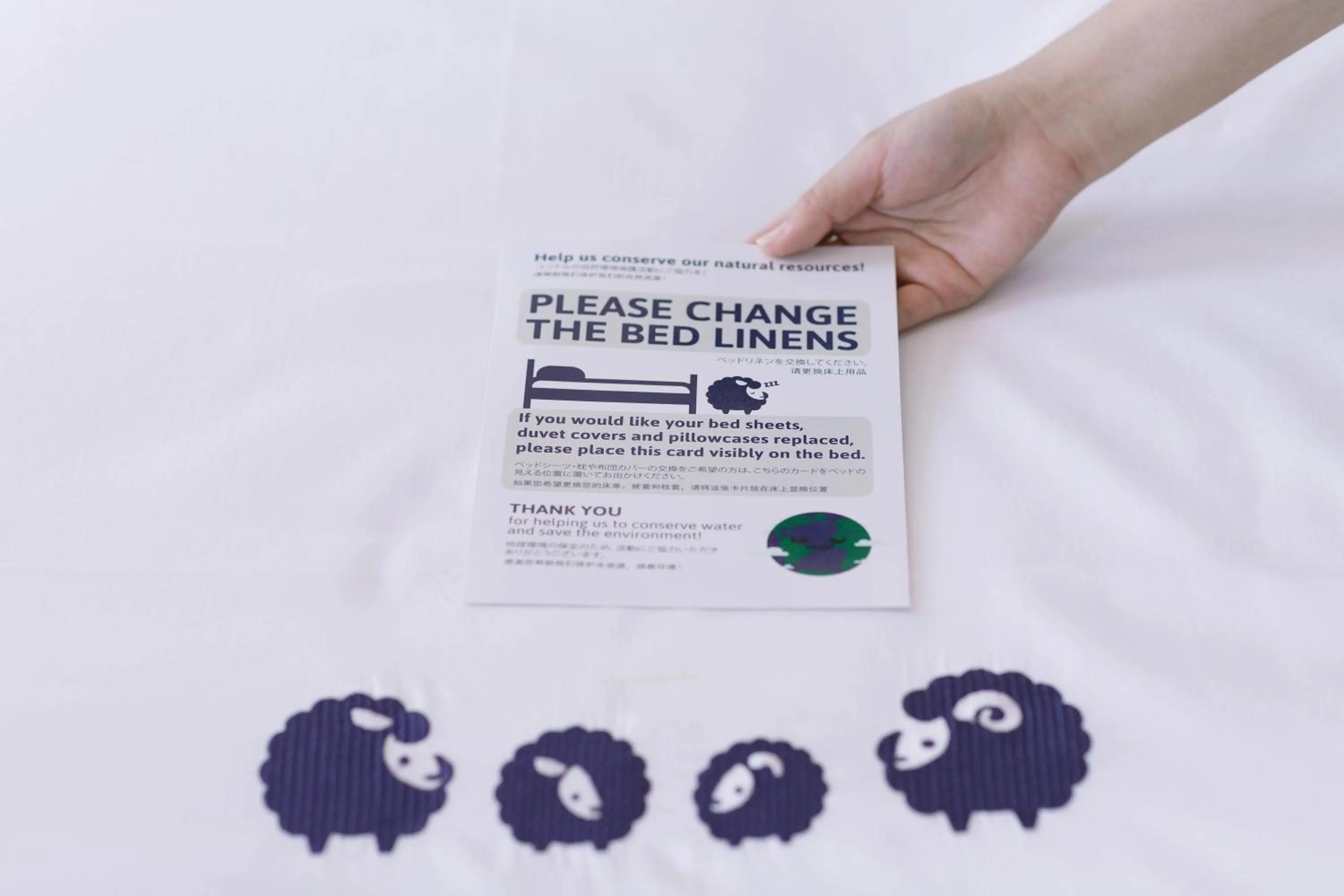 Logo/Certificate/Sign in Kokotel Bangkok Sukhumvit 50