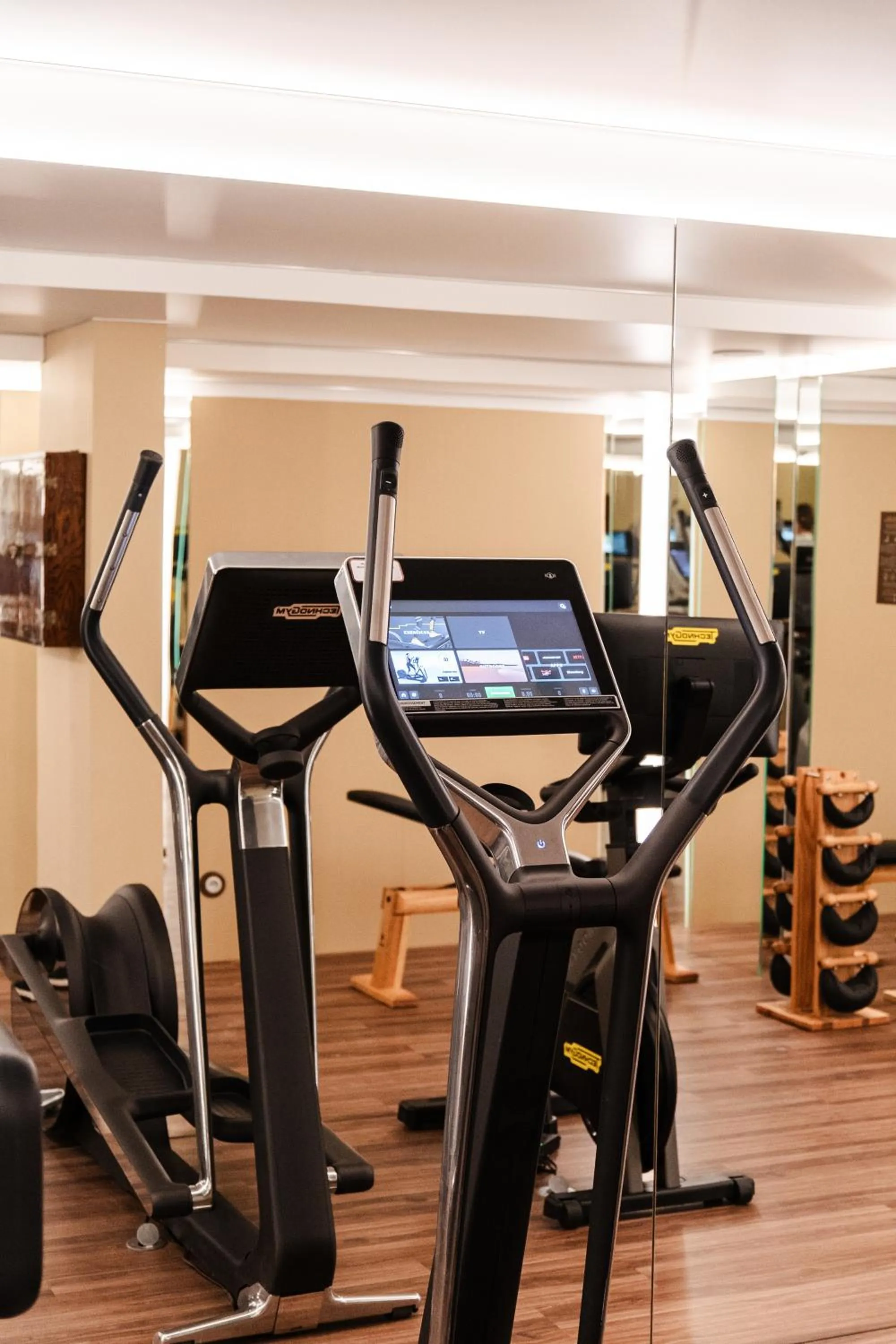 Fitness centre/facilities in Hôtel Saint-Georges Relais & Châteaux