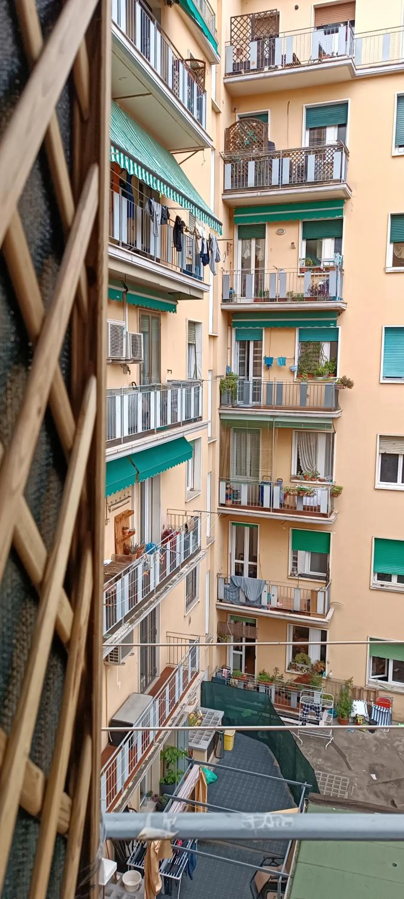 Affittacamere Pratello 97