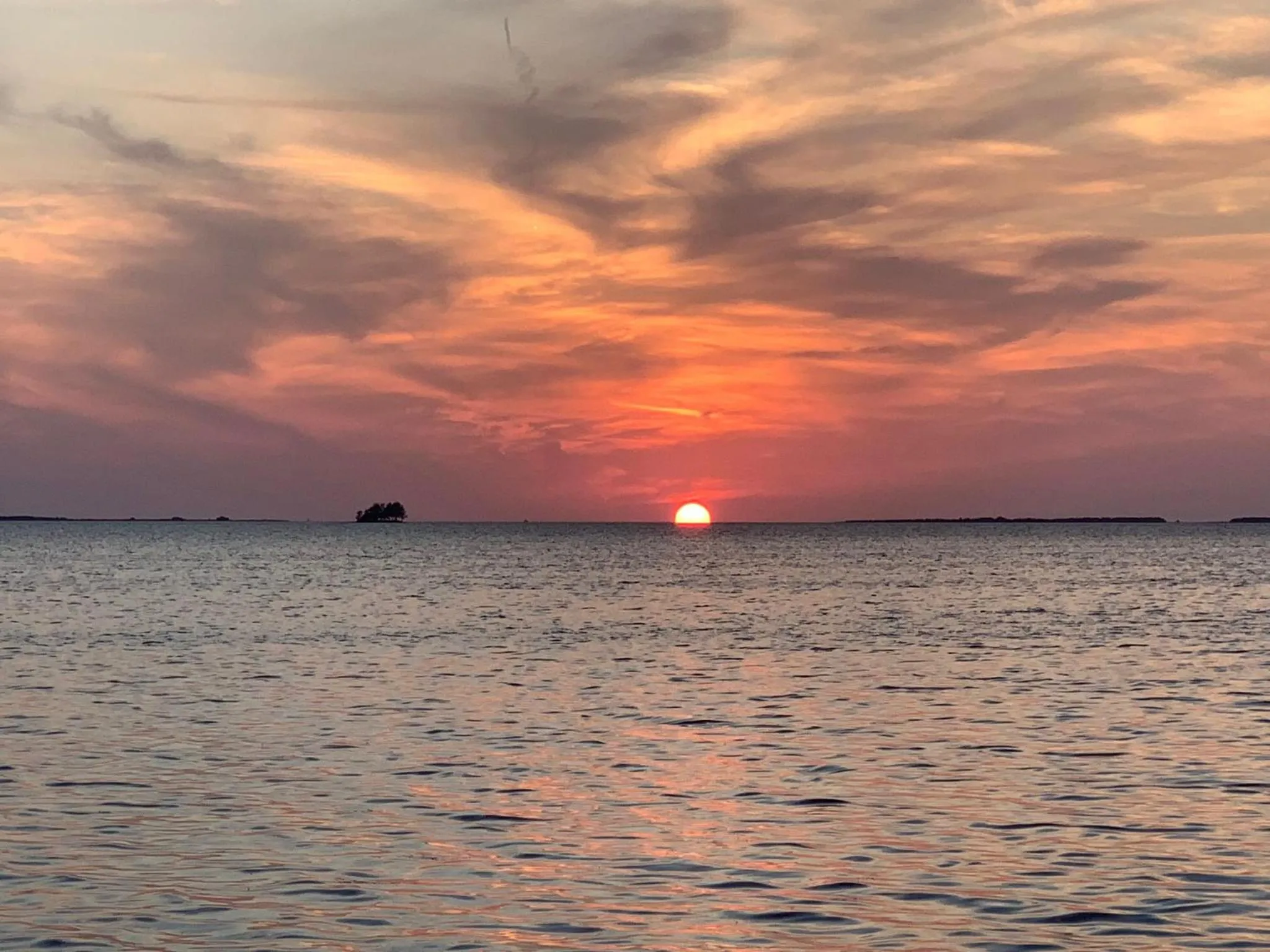 Area and facilities in Holiday Inn Orlando International Airport by IHG