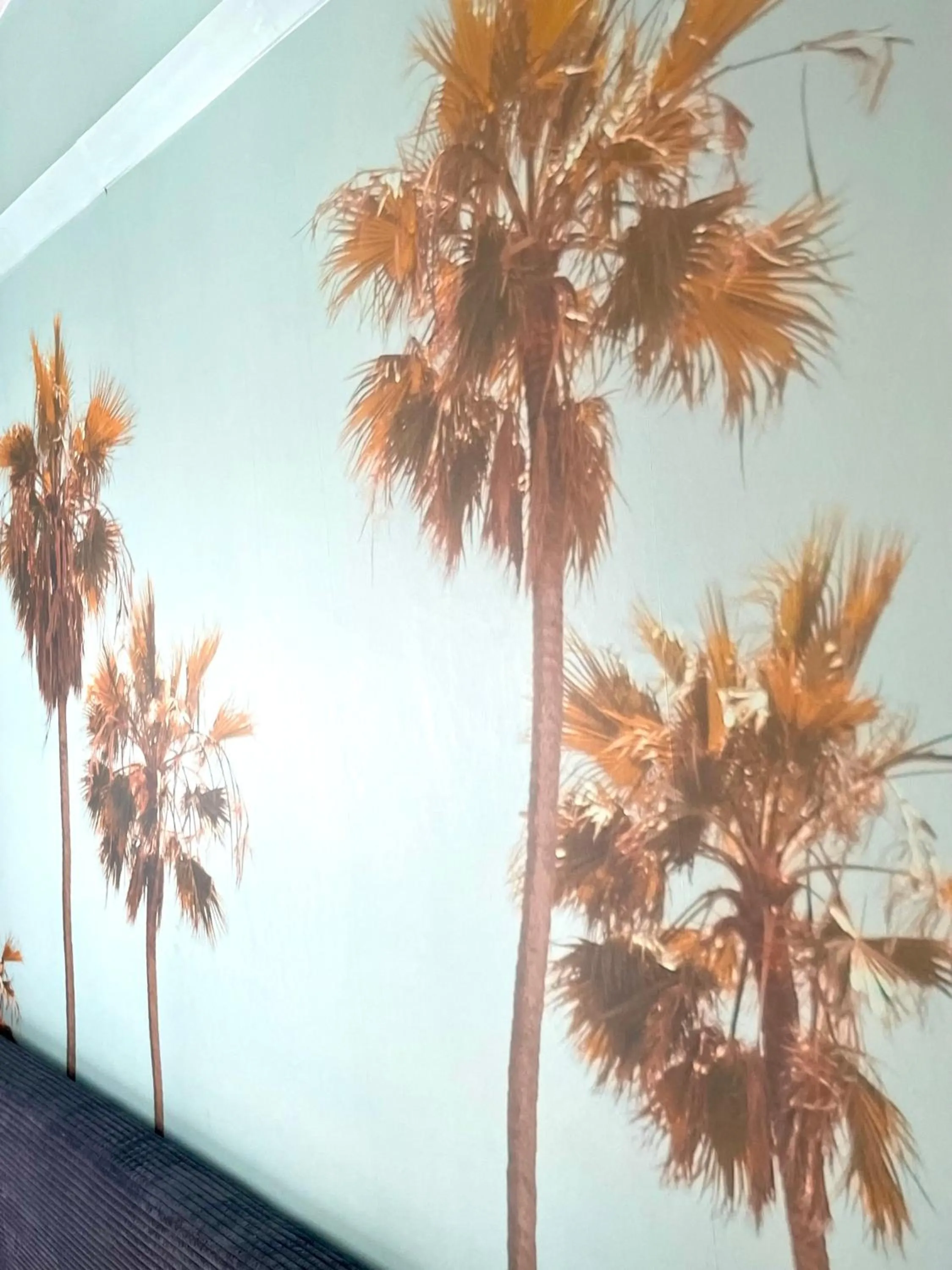 Decorative detail in CitySurfer44