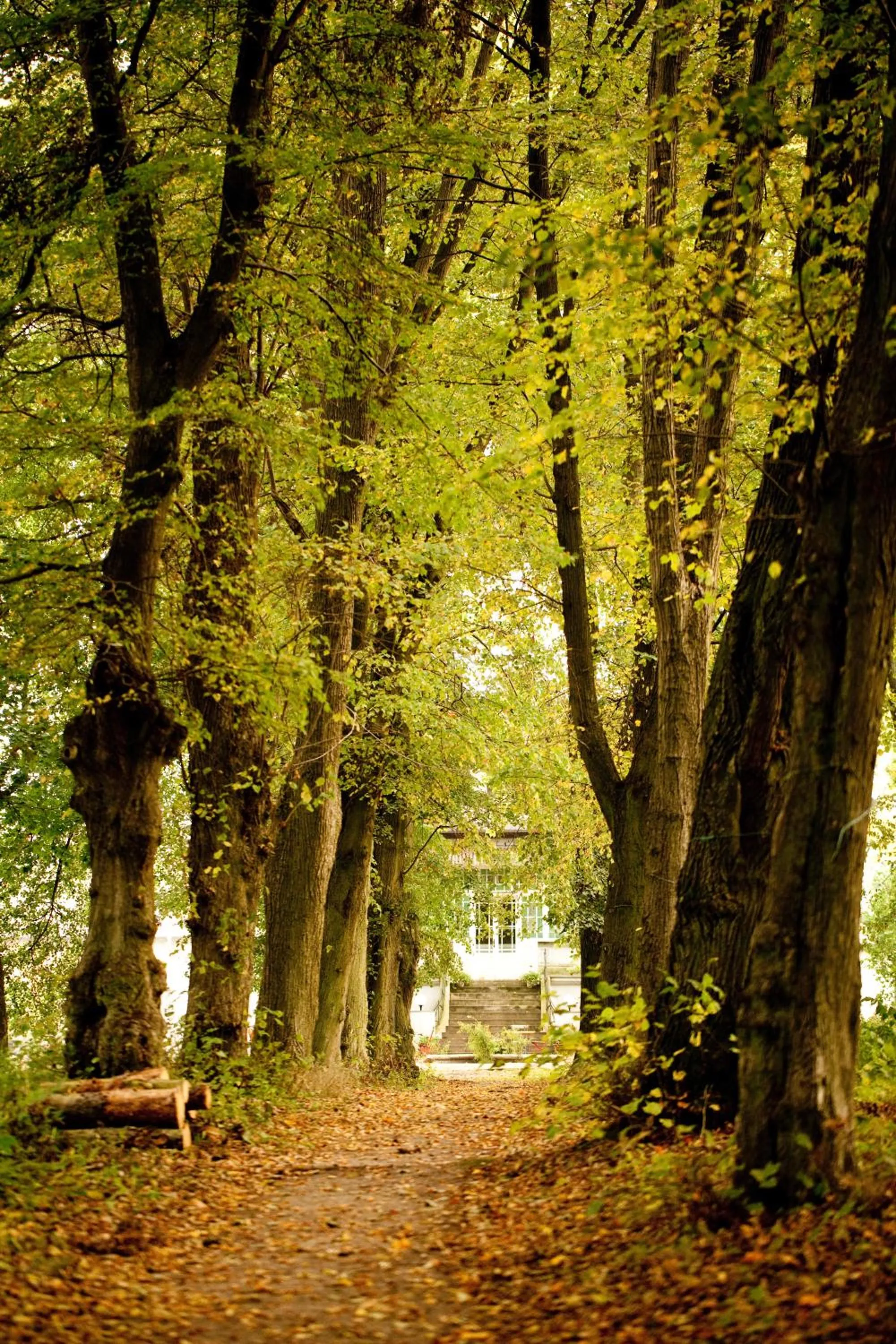 Day in Gut Boltenhof