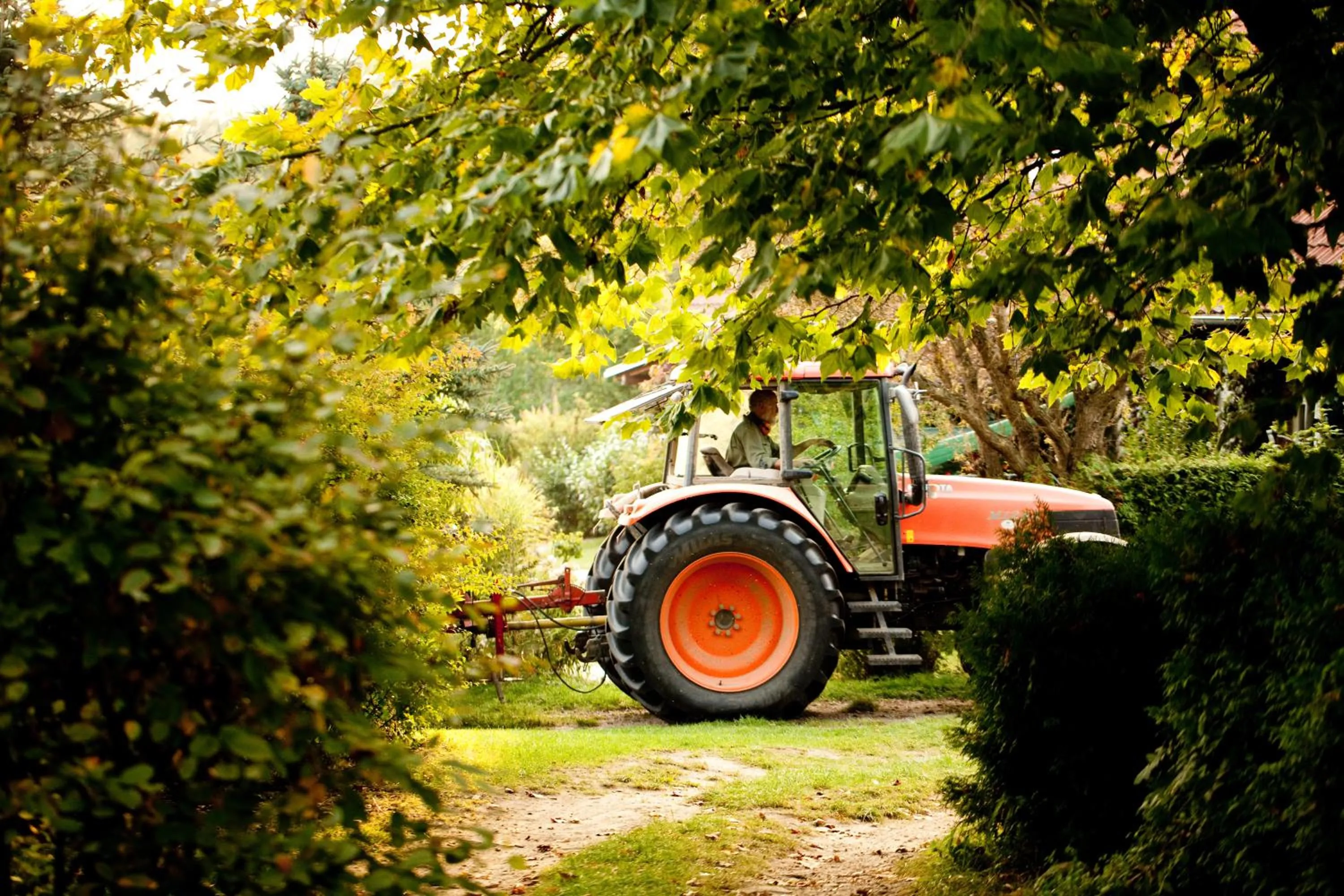 Day in Gut Boltenhof