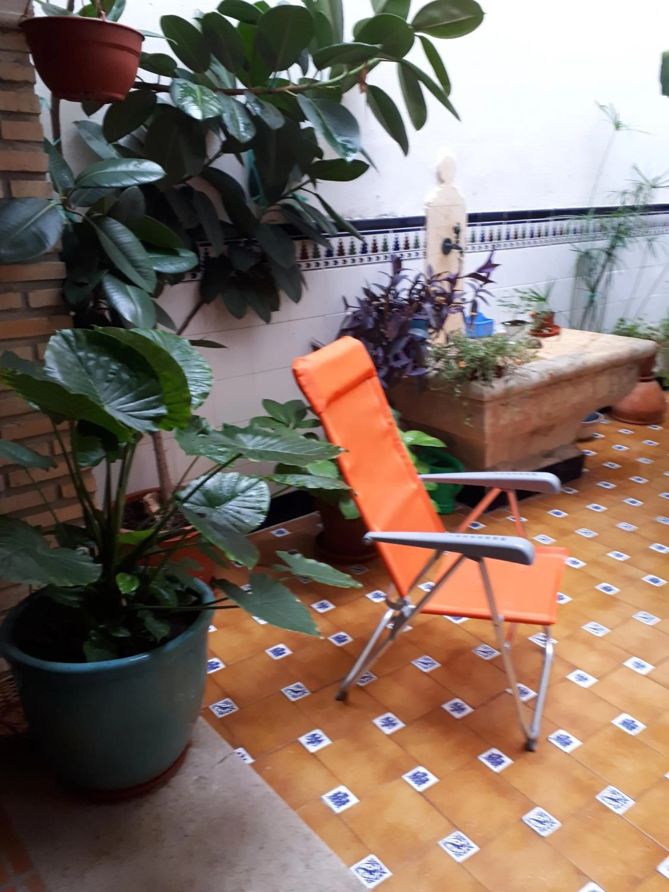 Patio in Casa Camino al Castillo