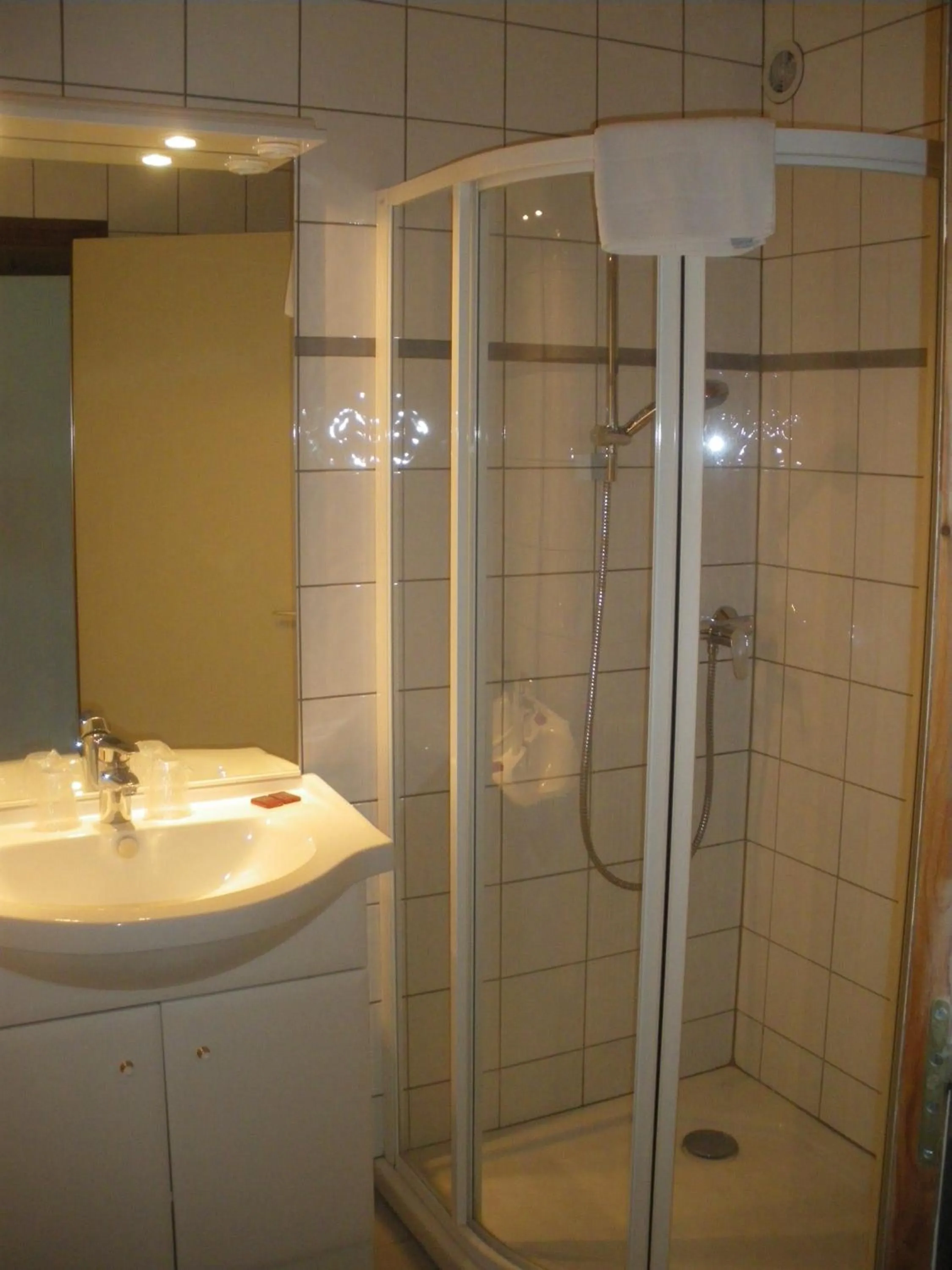 Bathroom in Hotel Le Grand Tetras