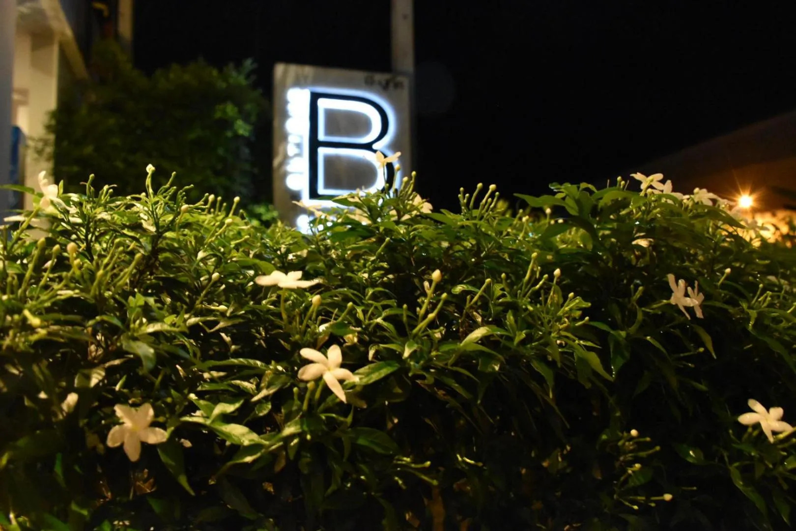 B Boutique Hotel
