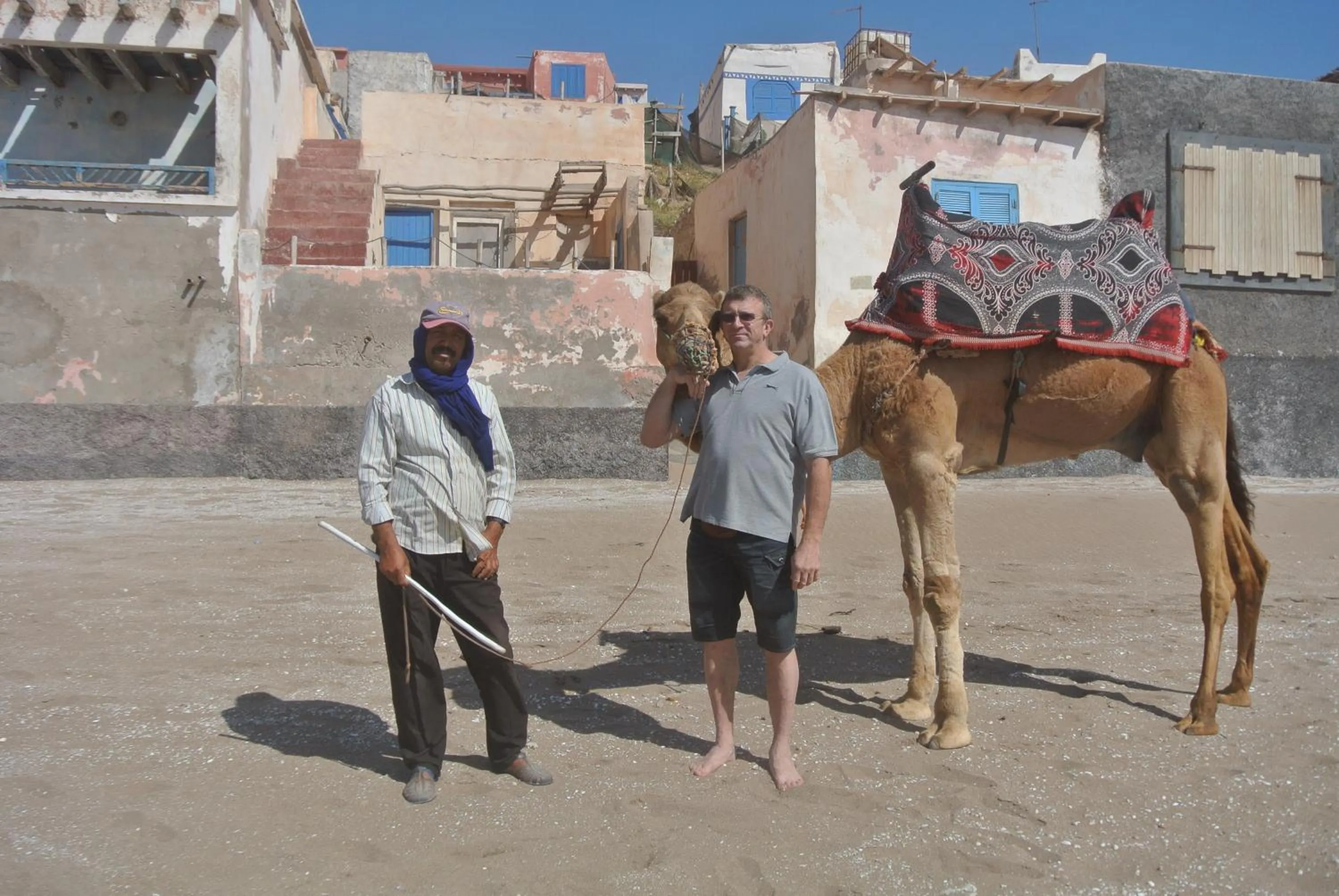 Animals in Riad Anma