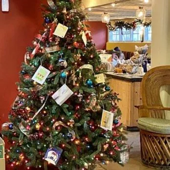 Restaurant/places to eat in Las Palomas