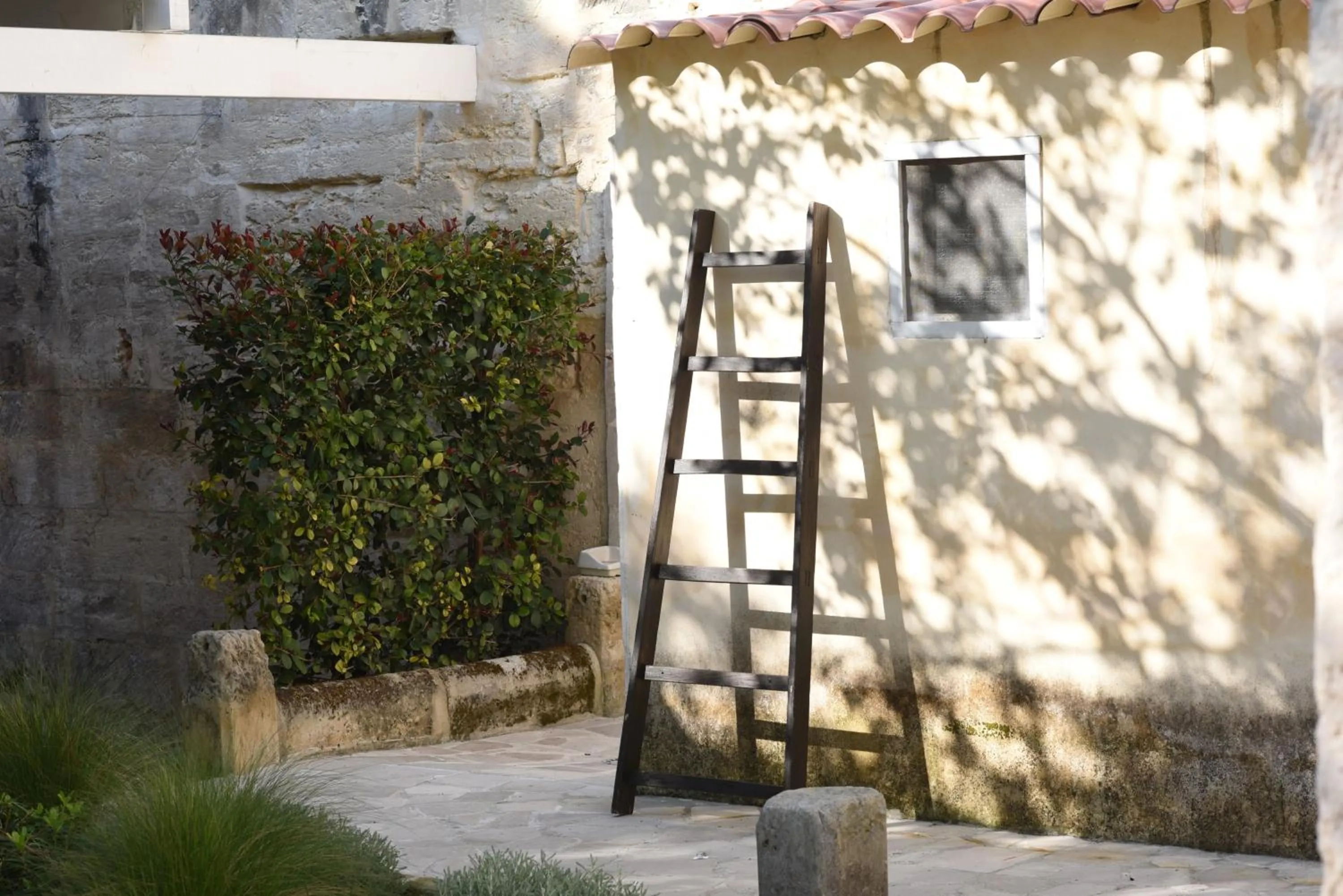 Garden view in Il Giardino Di Benedetta