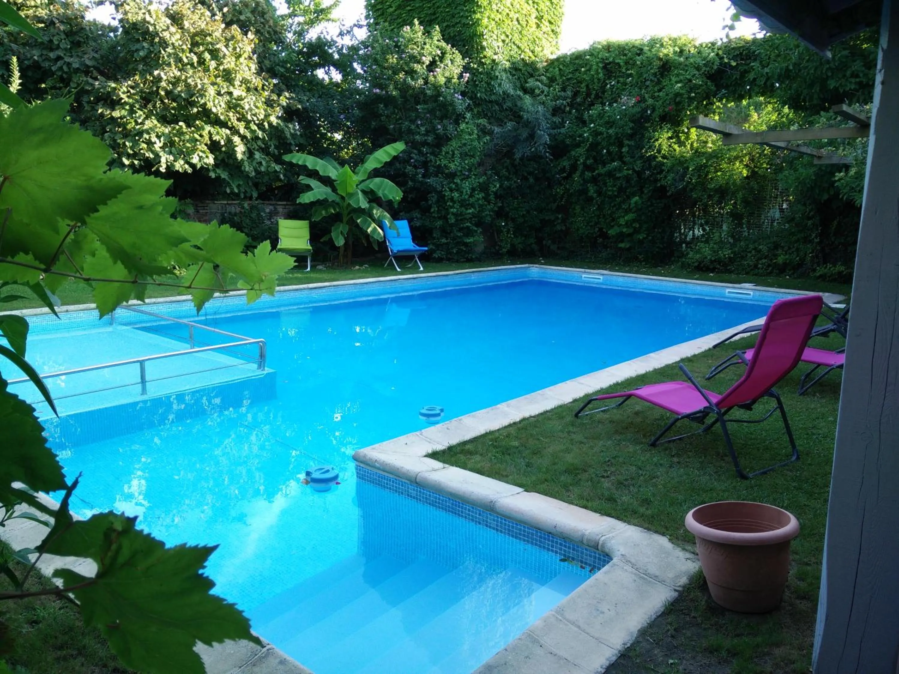 Swimming pool in Gentil'Home - Toulouse B&B Prestige