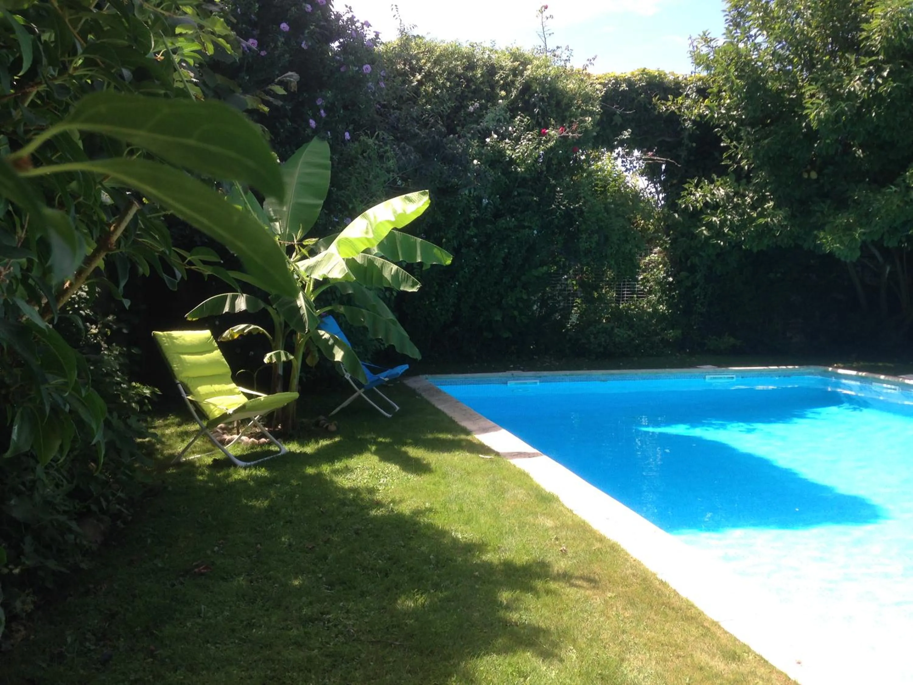 Swimming pool in Gentil'Home - Toulouse B&B Prestige