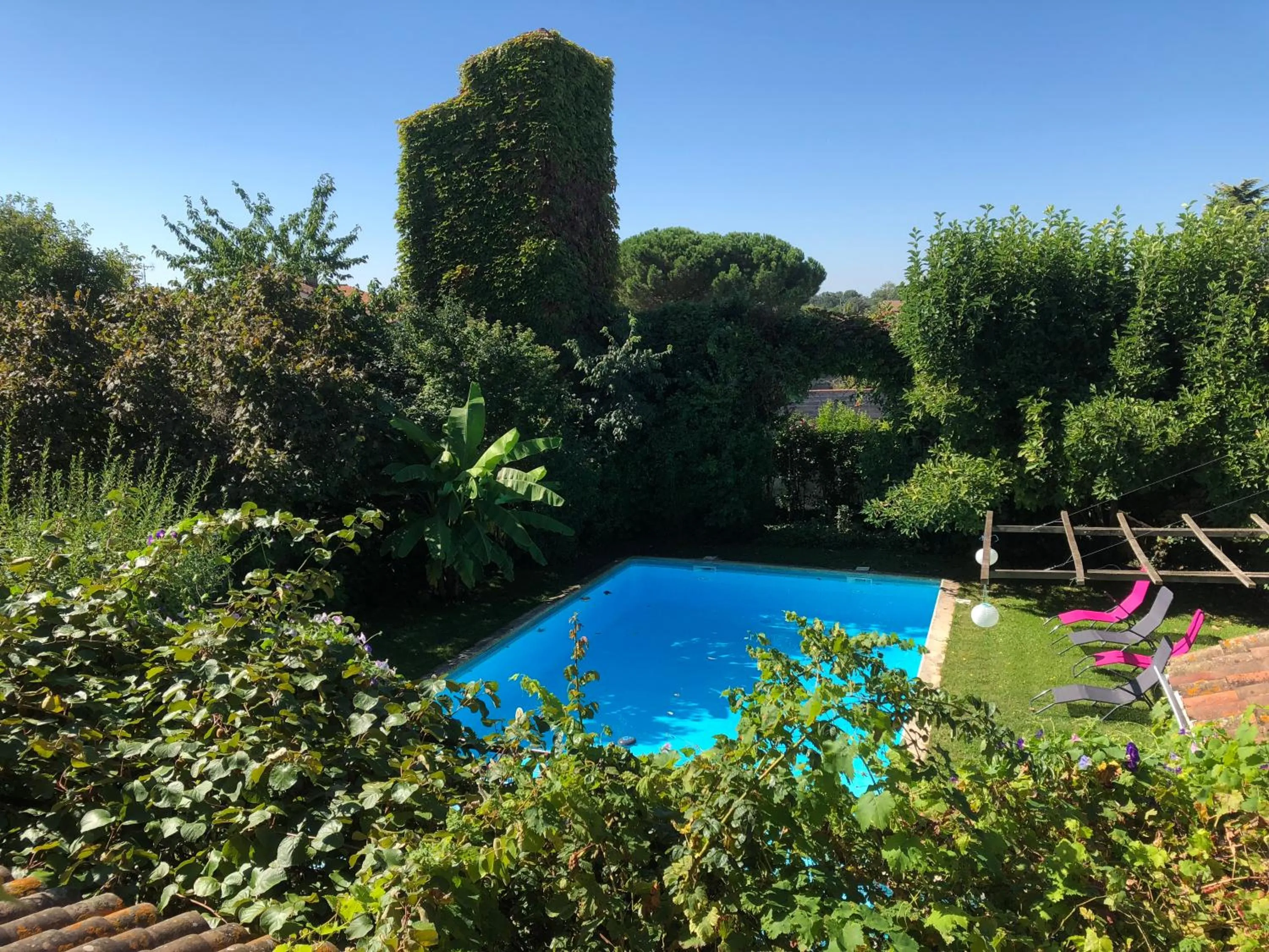 Pool view in Gentil'Home - Toulouse B&B Prestige
