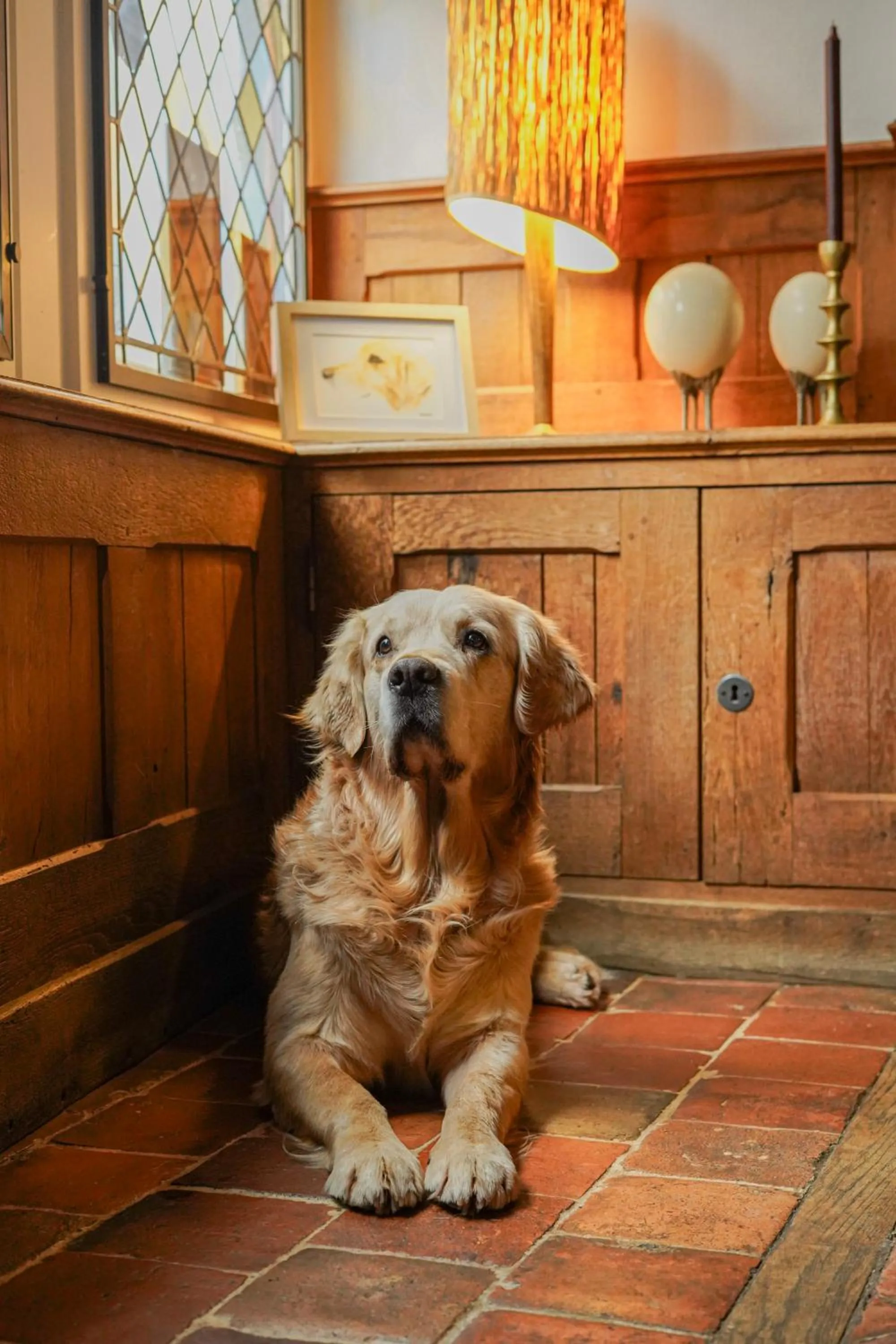 Pets in L'Absinthe Hôtel