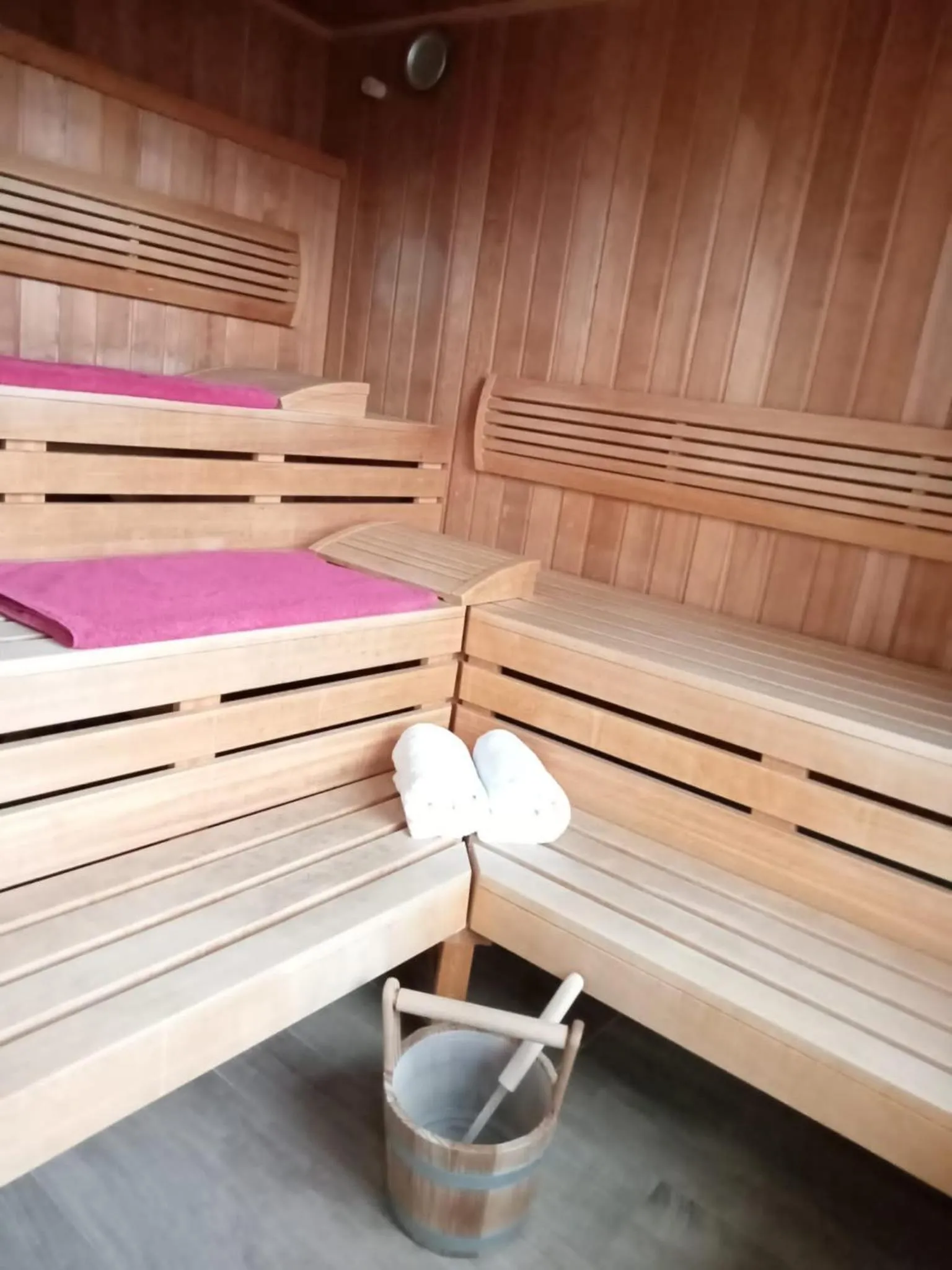 Sauna in Hotel Theophano