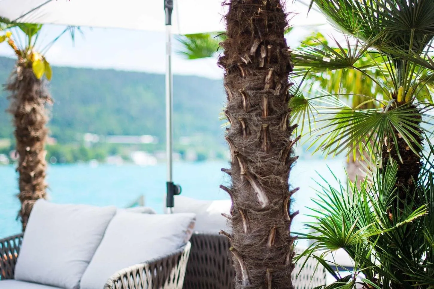 Beach in Hotel Eden Park