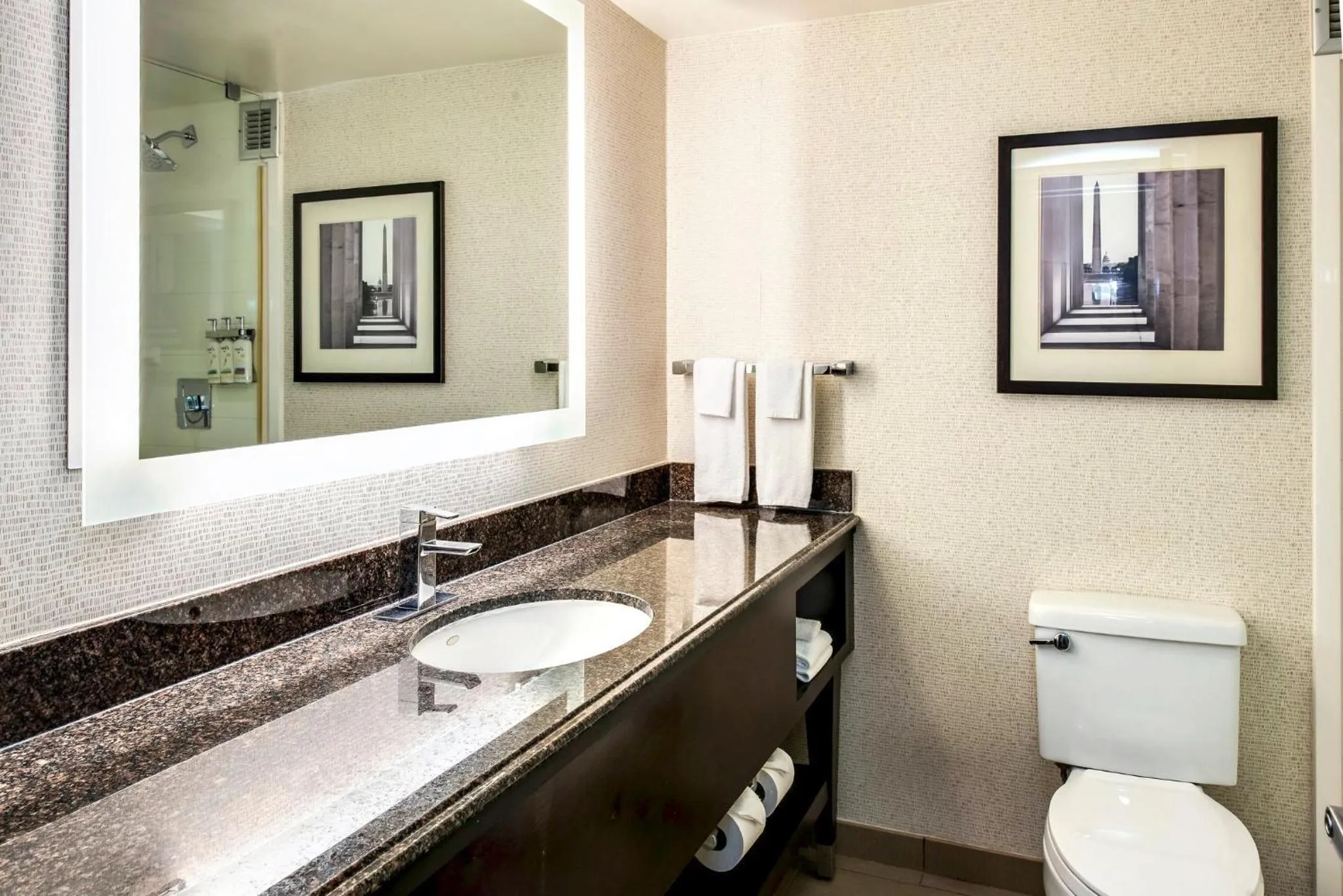 Bathroom in Holiday Inn Washington Capitol-National Mall by IHG