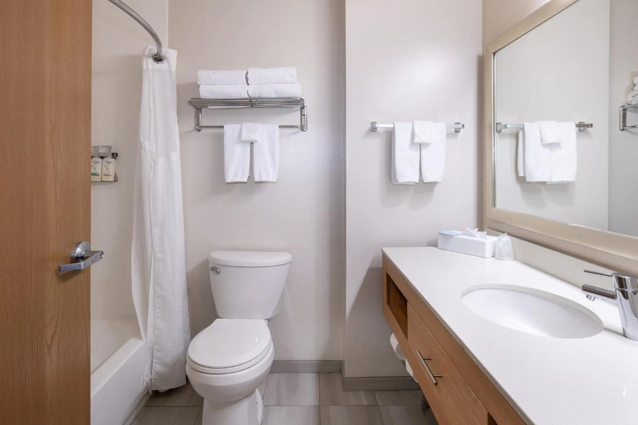 Bathroom in Holiday Inn Express Hotel and Suites - Henderson by IHG